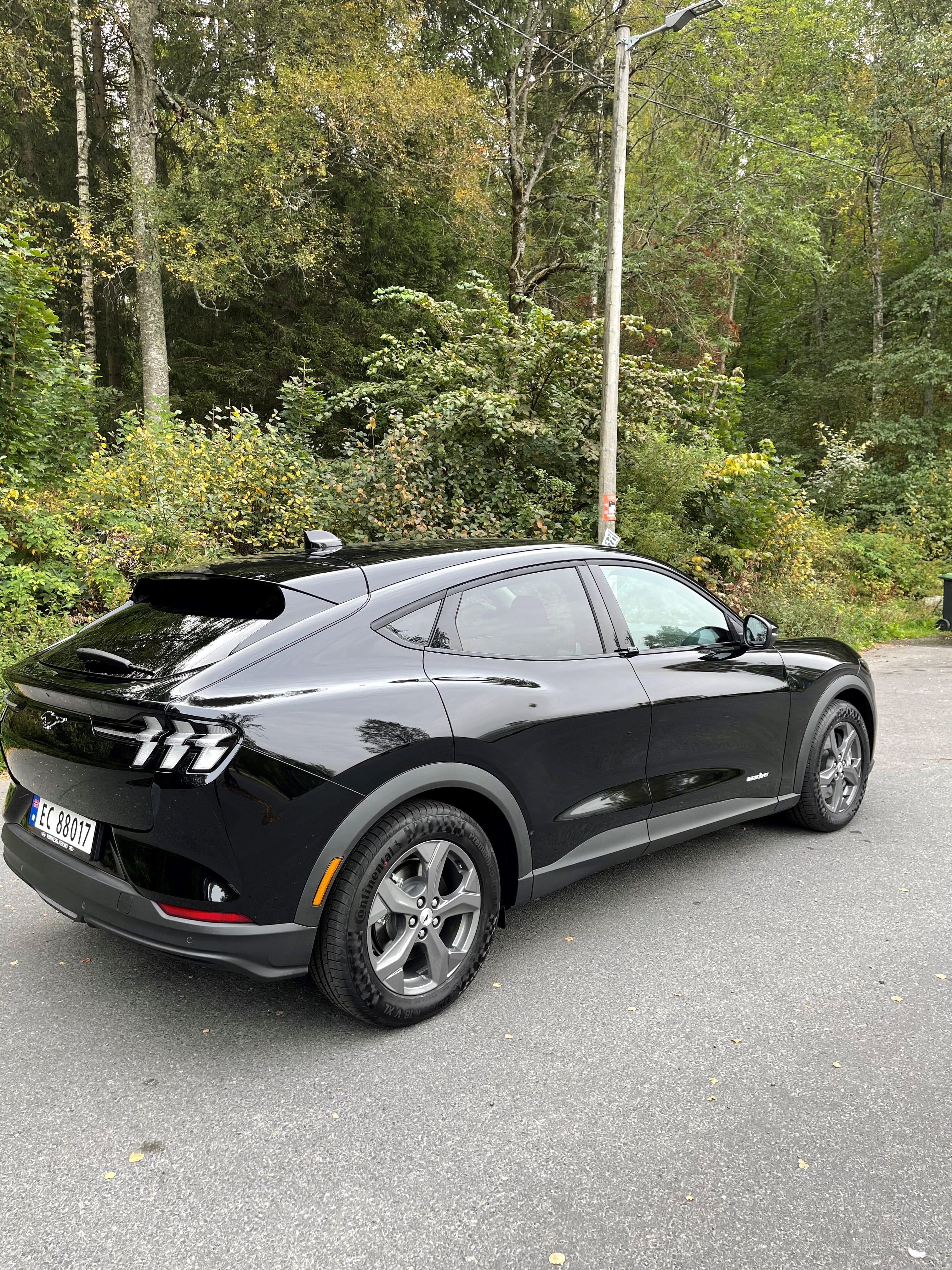 Ford Mustang Mach-E med GPS
