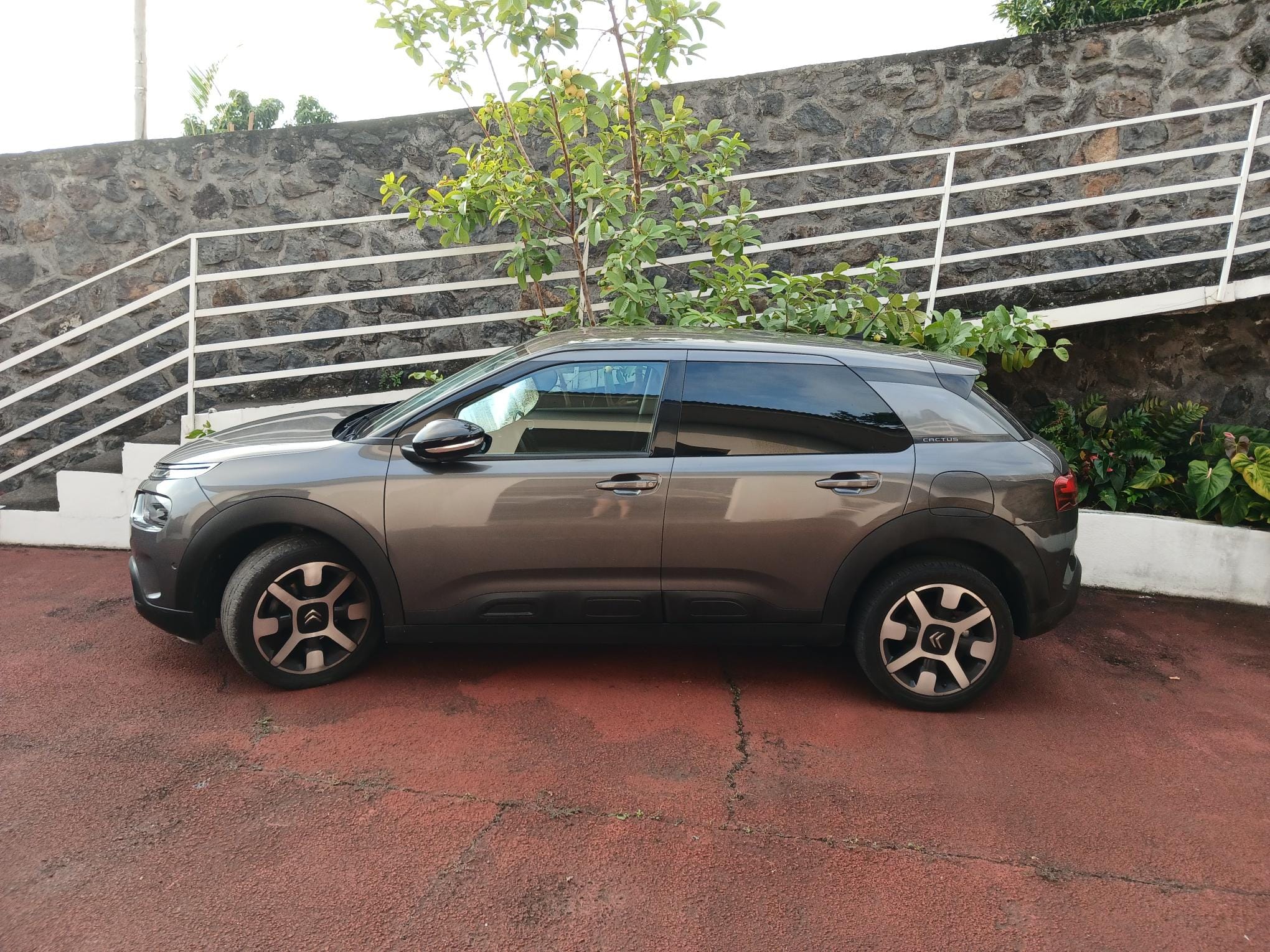 Citroen C4 Cactus avec Climatisation