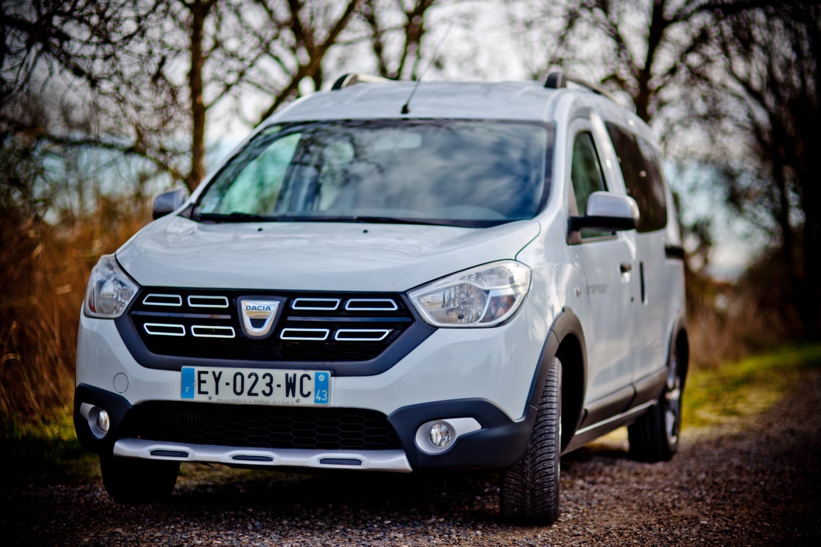 Dacia Dokker Van, 2017, Diesel