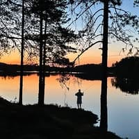 Ole Anders