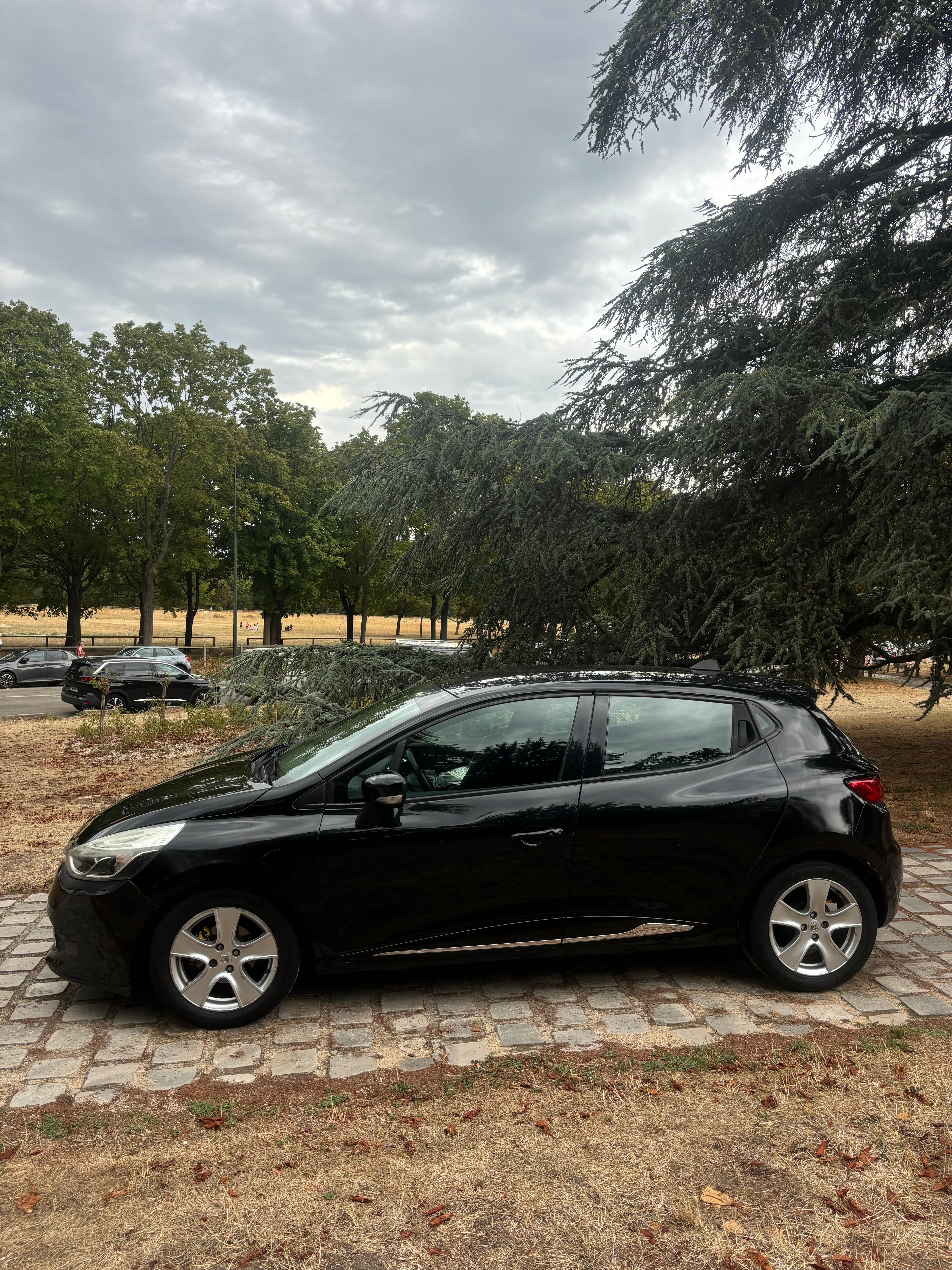 Renault Clio avec Audio Bluetooth