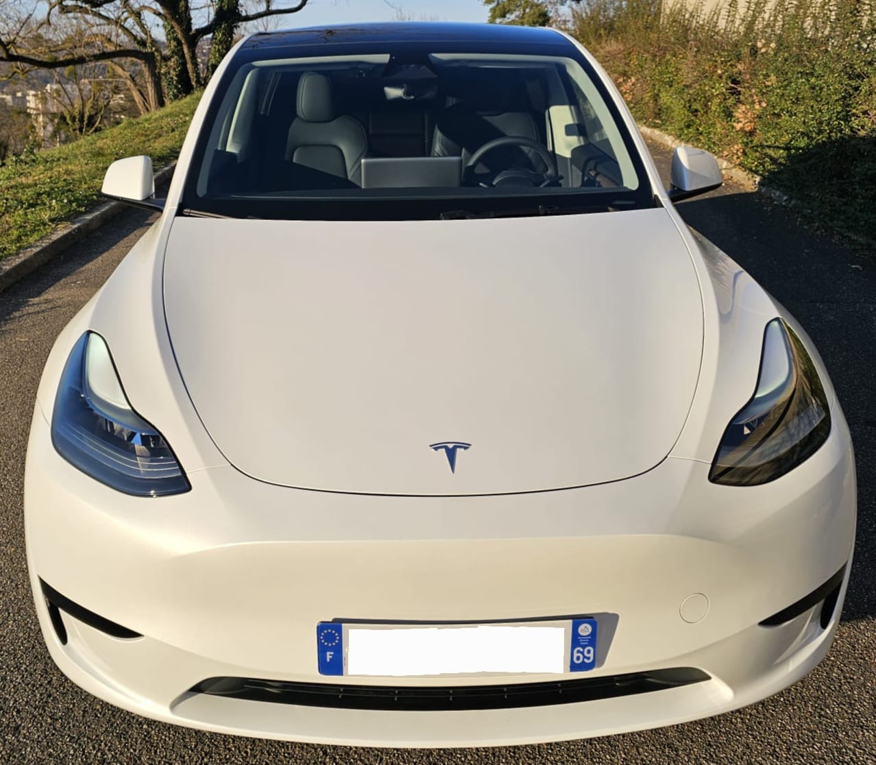 Tesla Model Y