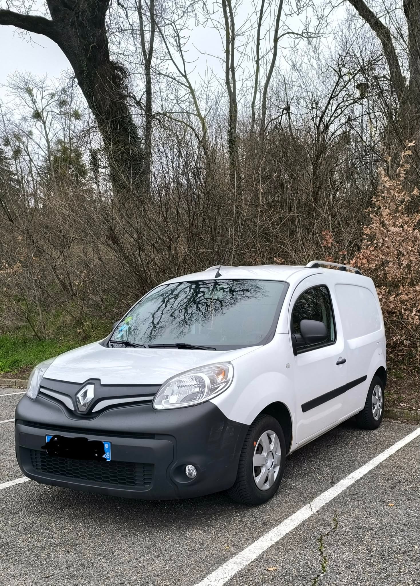 Renault Kangoo Express avec Régulateur de vitesse
