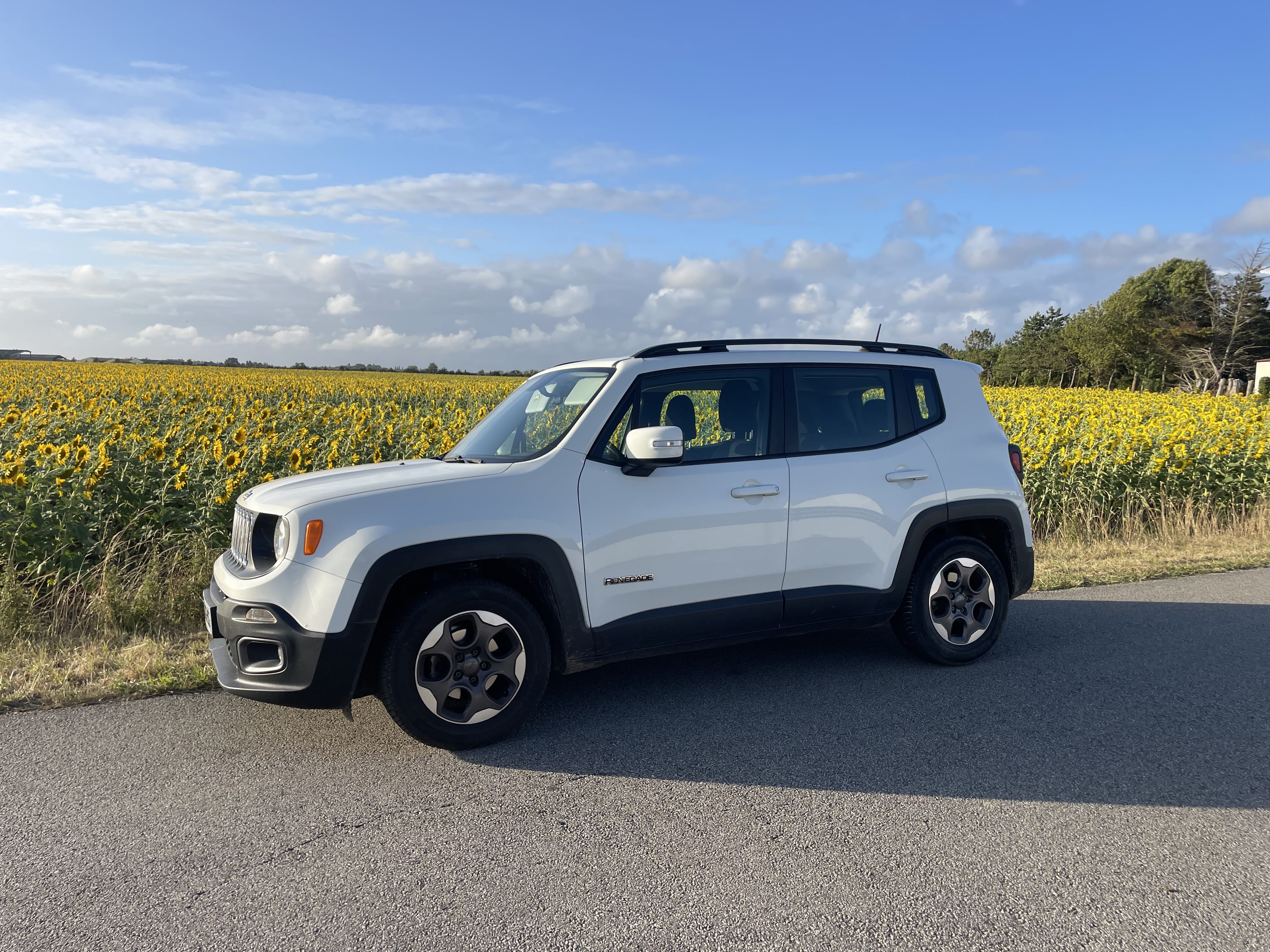 Jeep Renegade avec Climatisation