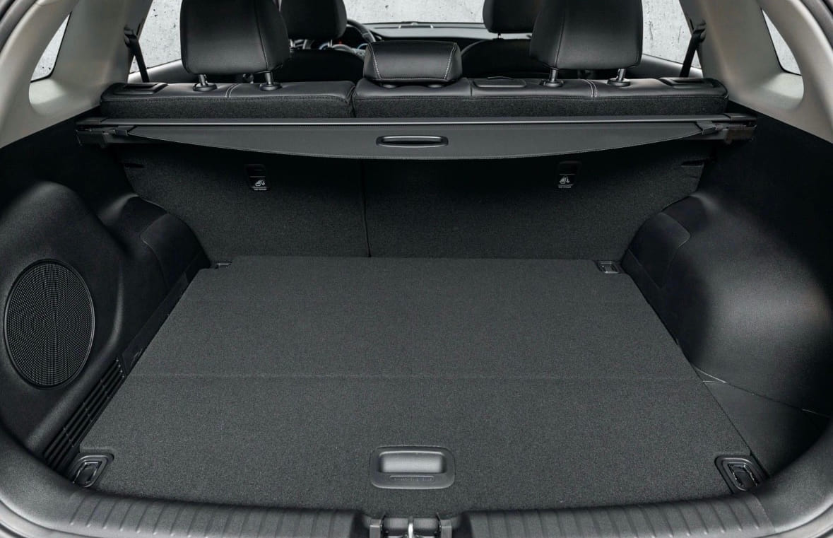 Kia e-Niro med Apple CarPlay