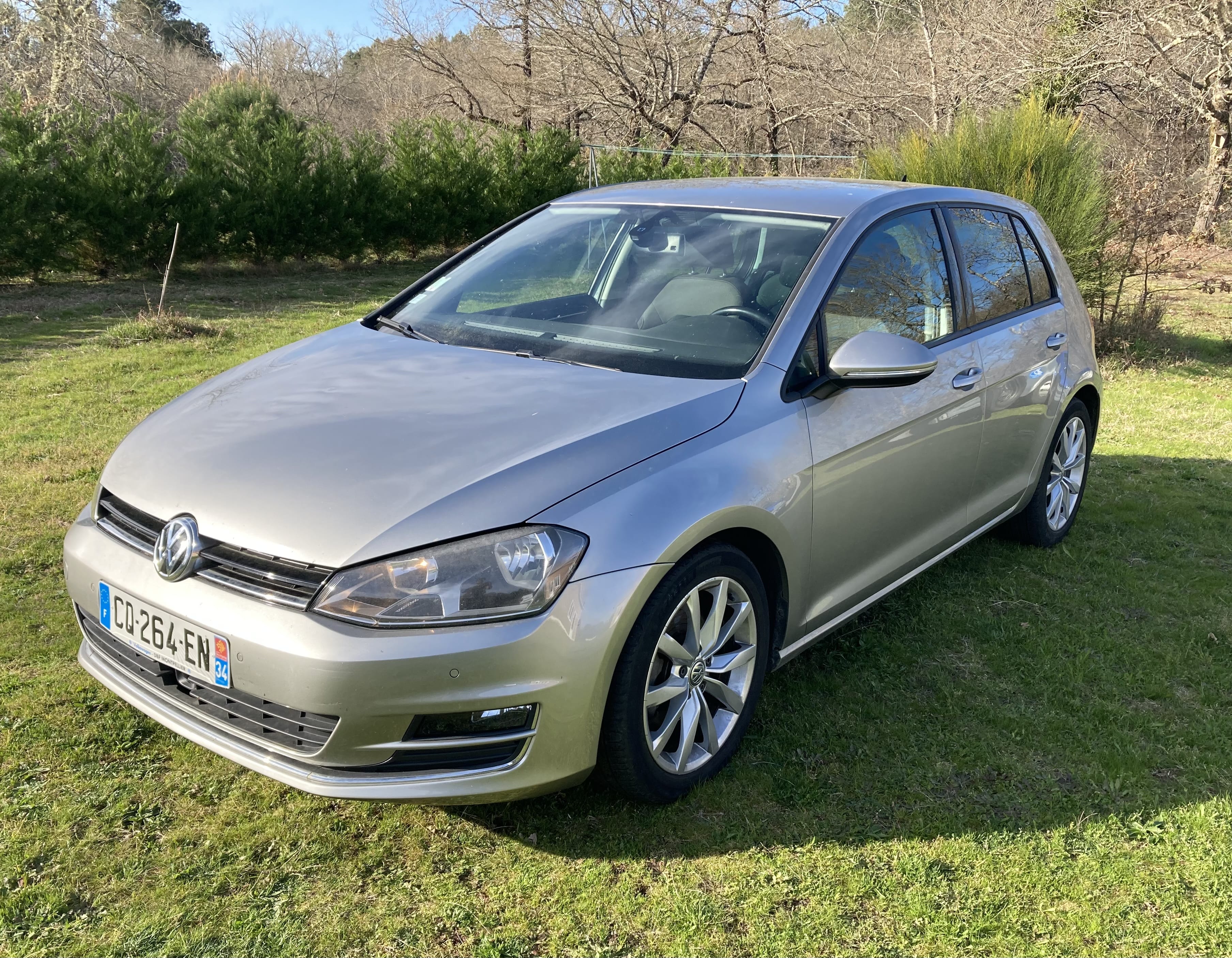 Volkswagen Golf Carat TDI, 2013, Diesel, automatique