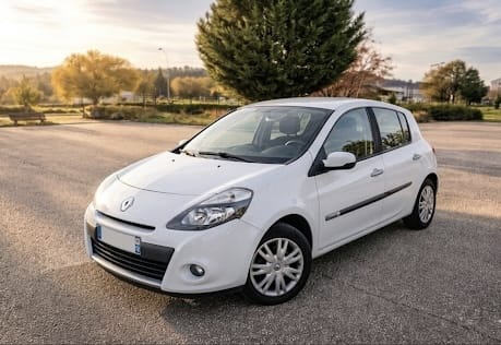 Renault Clio #478, 2011, Essence 95