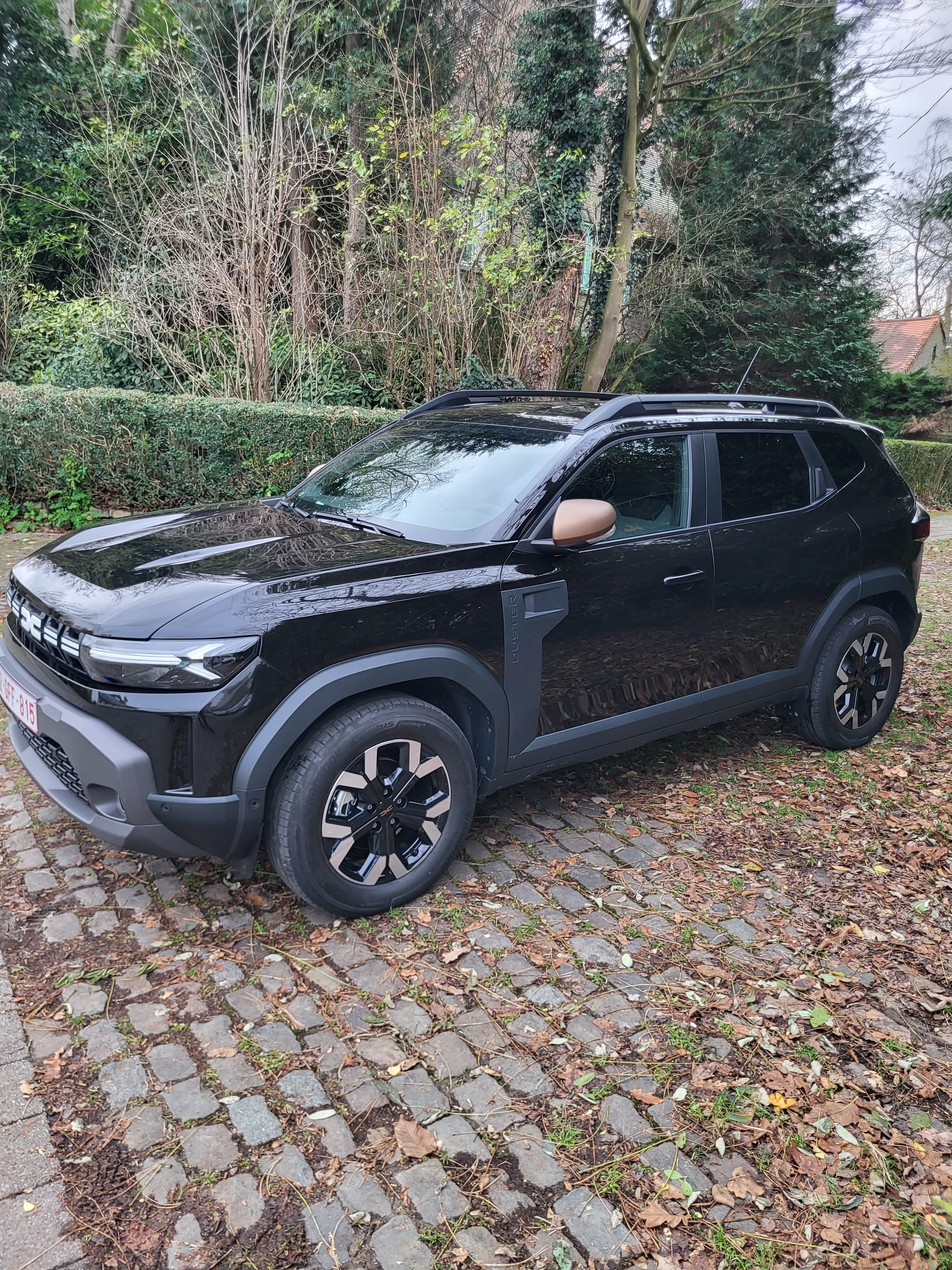 Dacia Duster, 2024, Euro 98 (E5) / Elektrisch (hybride), automatisch