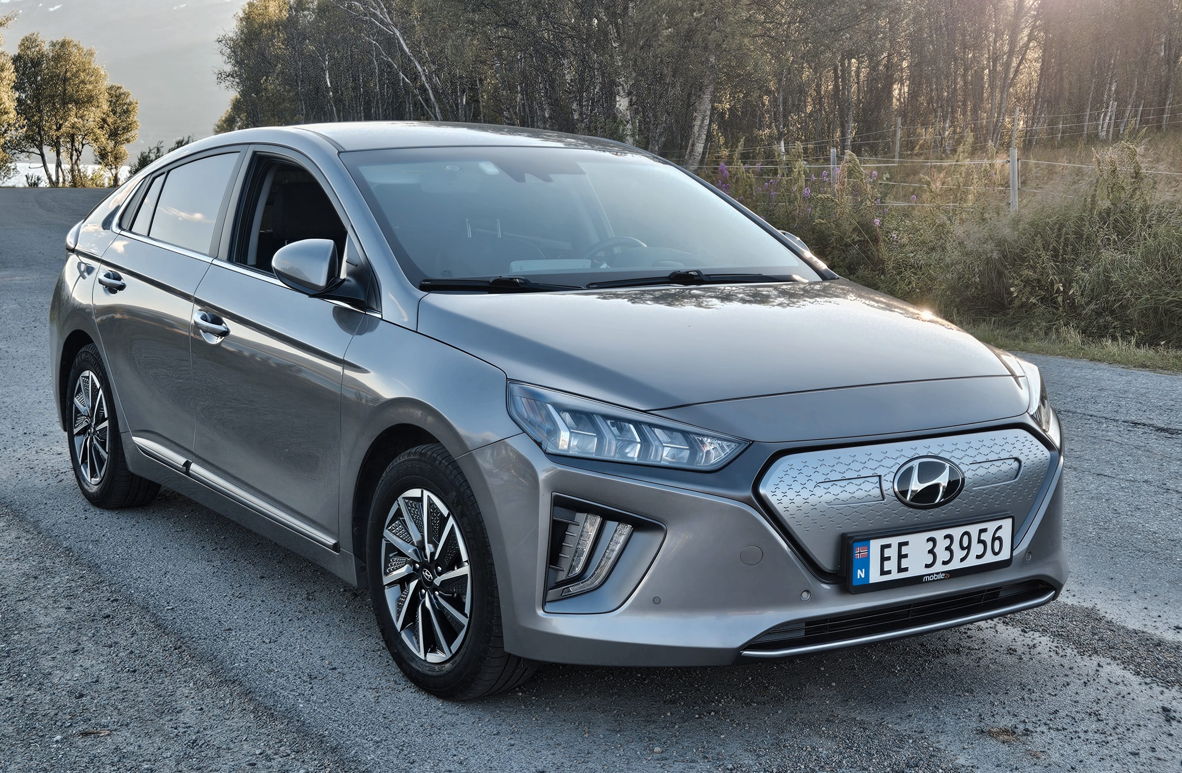 Hyundai Ioniq, 2022, Elektrisk, automatisk