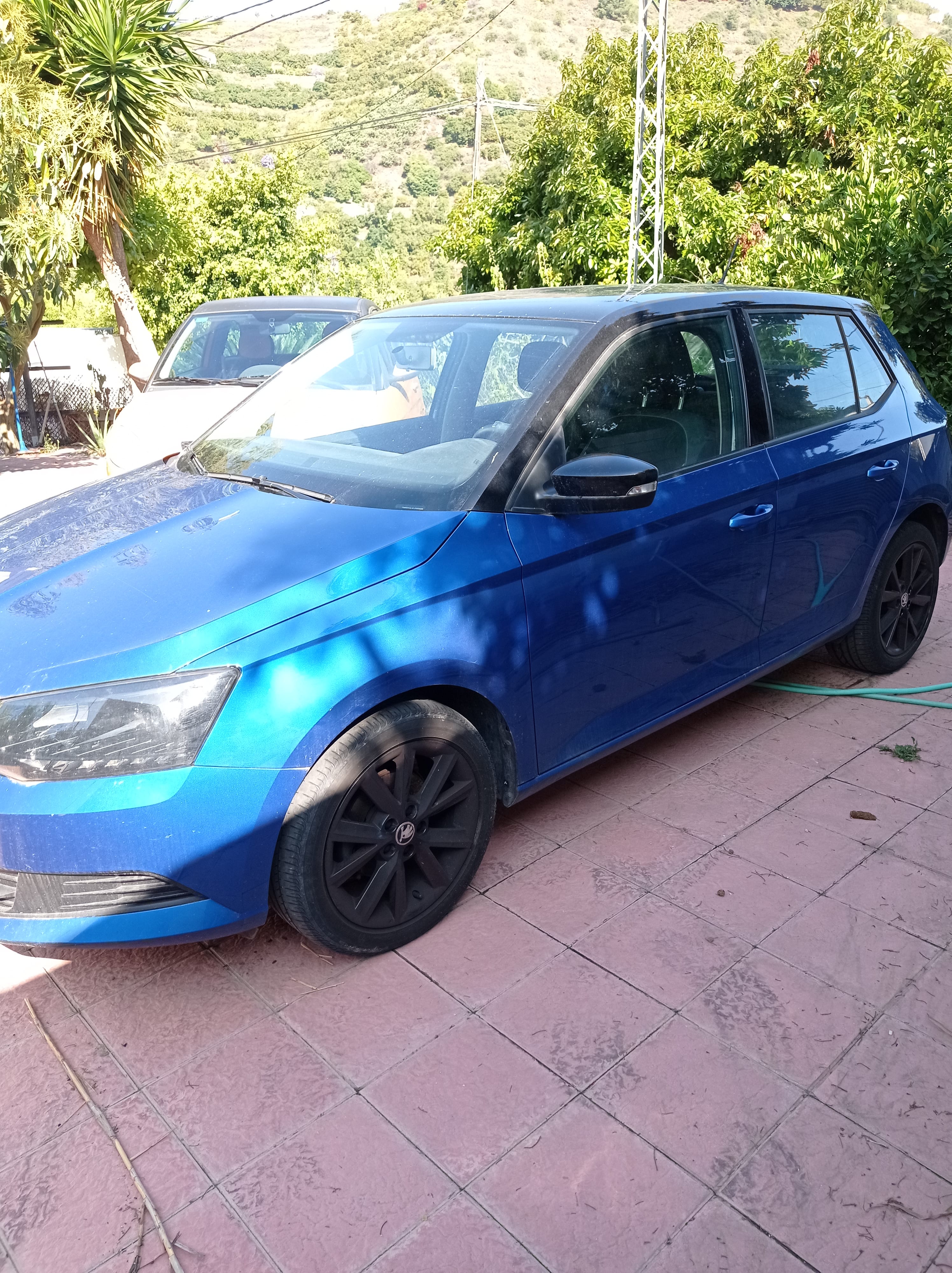 Skoda Fabia, 2018, Gasolina 95