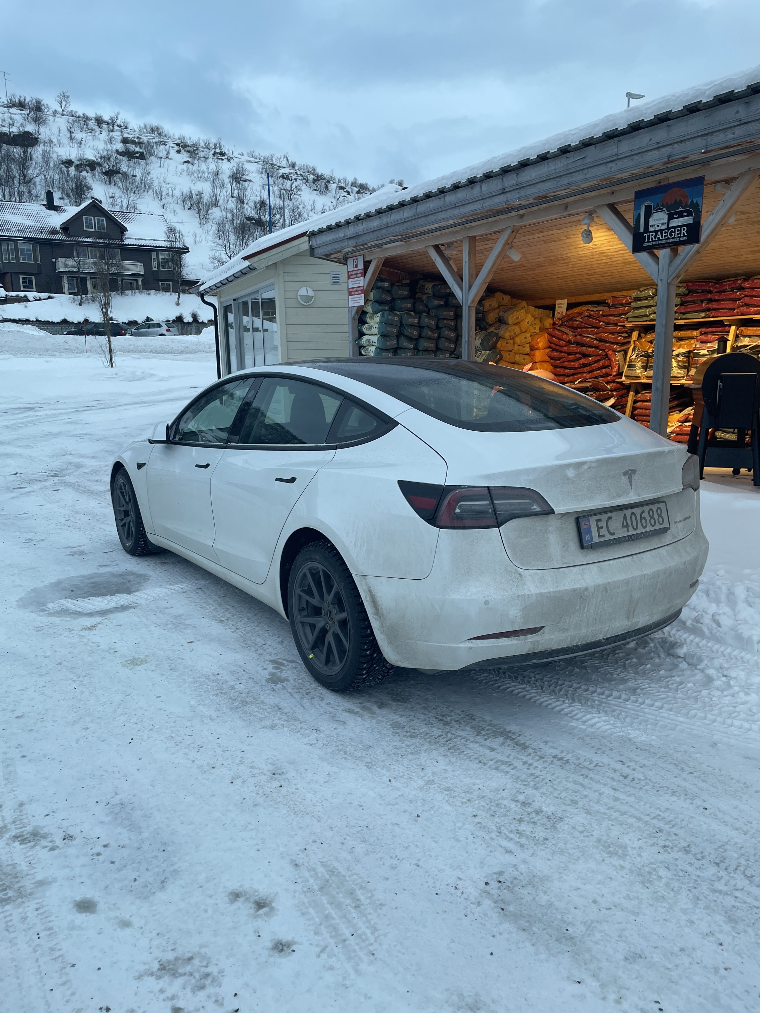 Tesla Model 3 met GPS