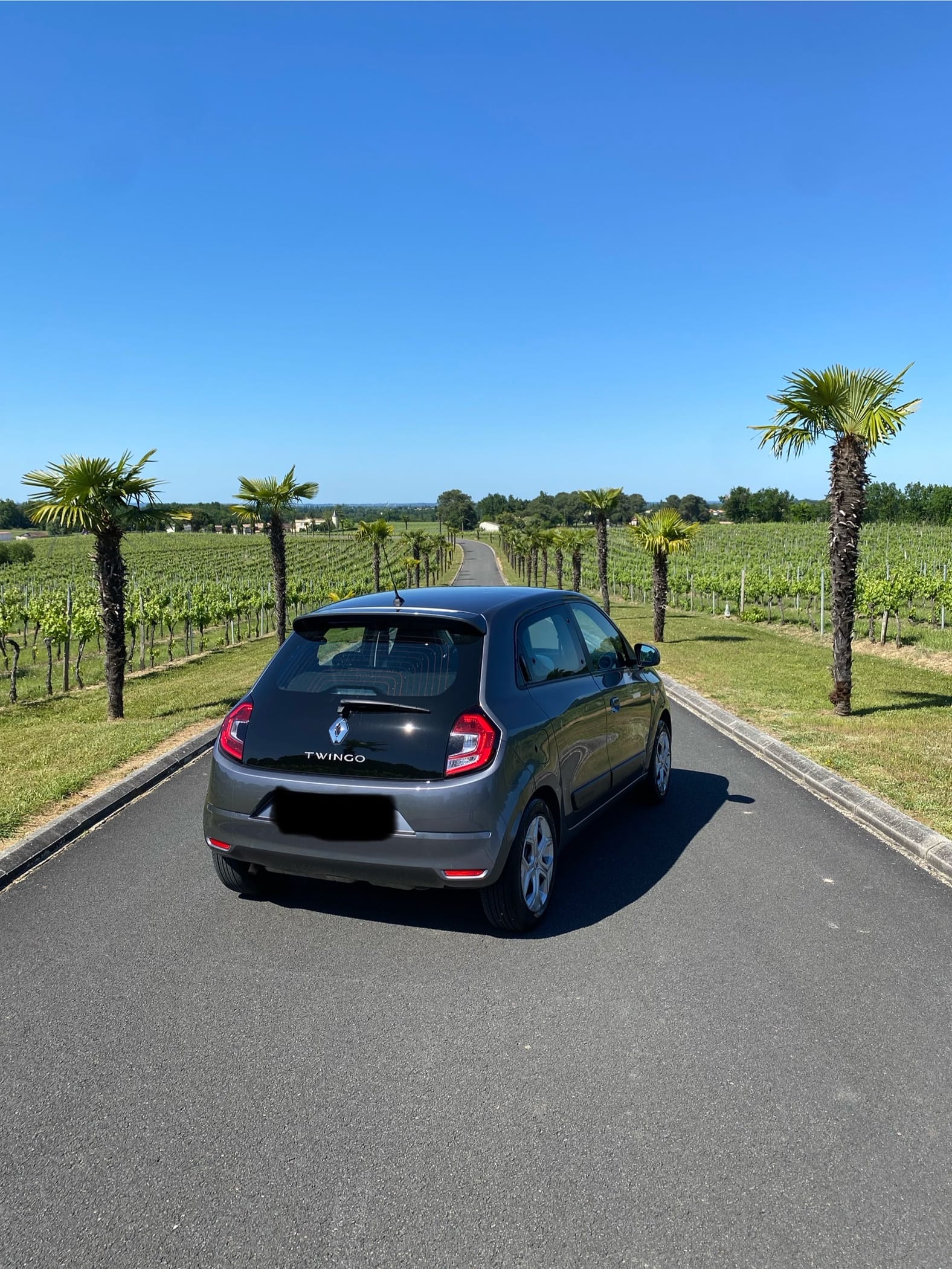 Renault Twingo III avec Régulateur de vitesse