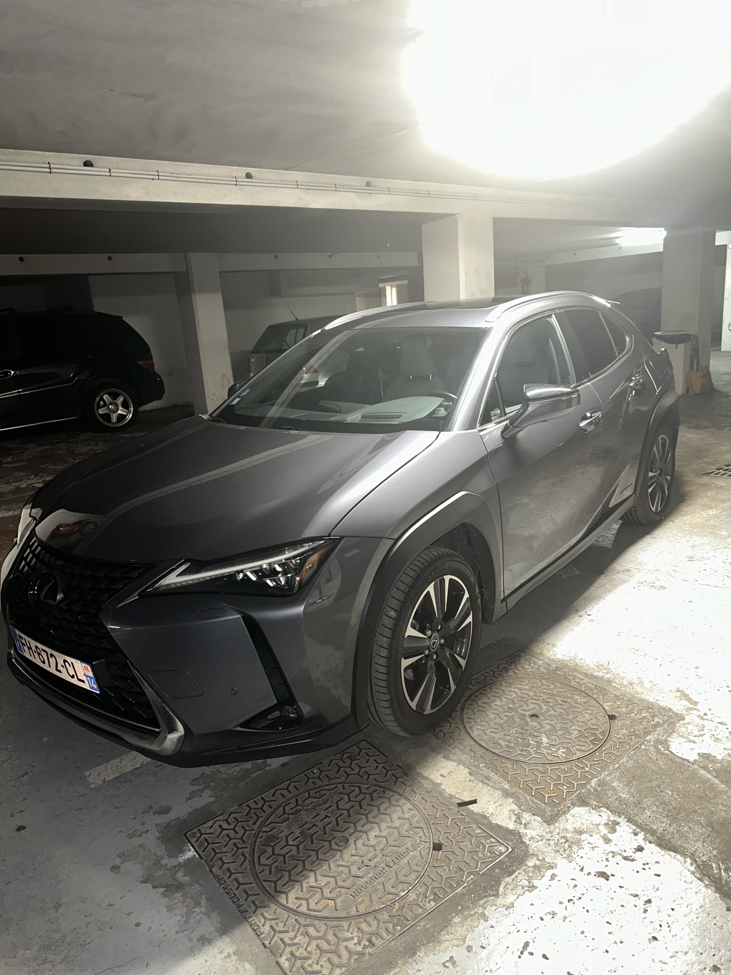 Lexus UX 250h, 2019, Essence 95, automatique
