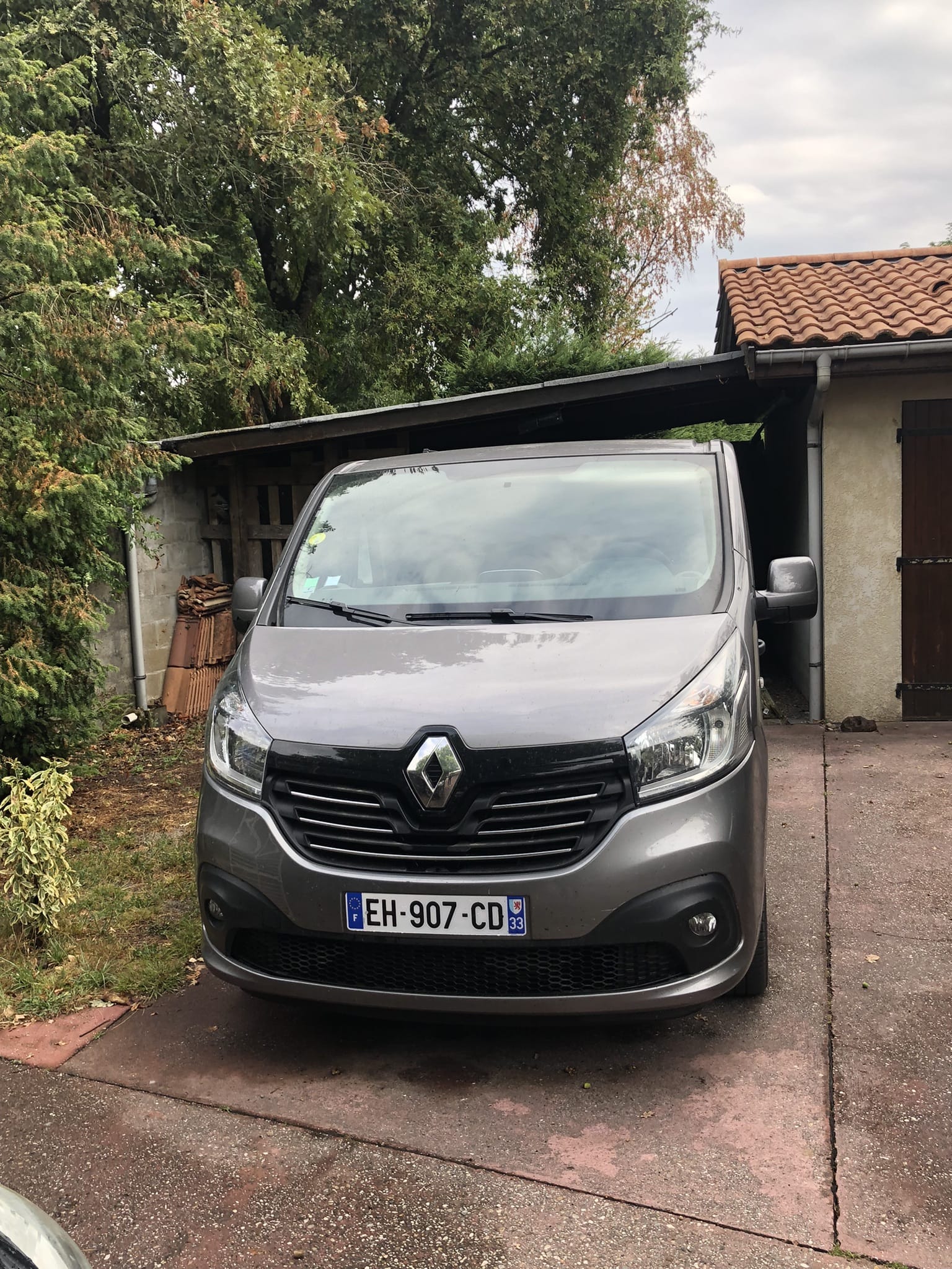 Renault Trafic Passenger L2, 2016, Diesel, 9 places et plus