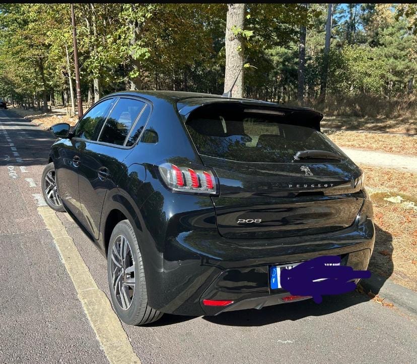 Peugeot 208 with Car radio