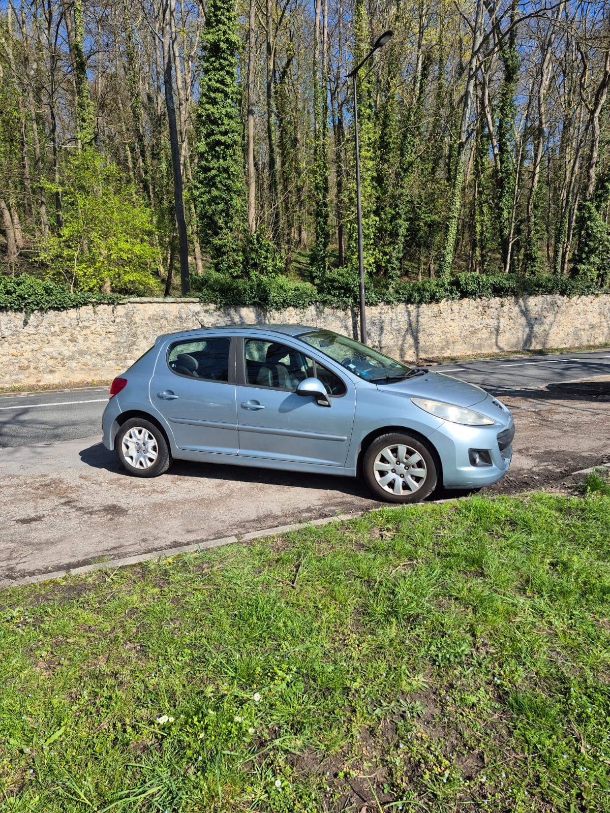Peugeot 207 avec Régulateur de vitesse