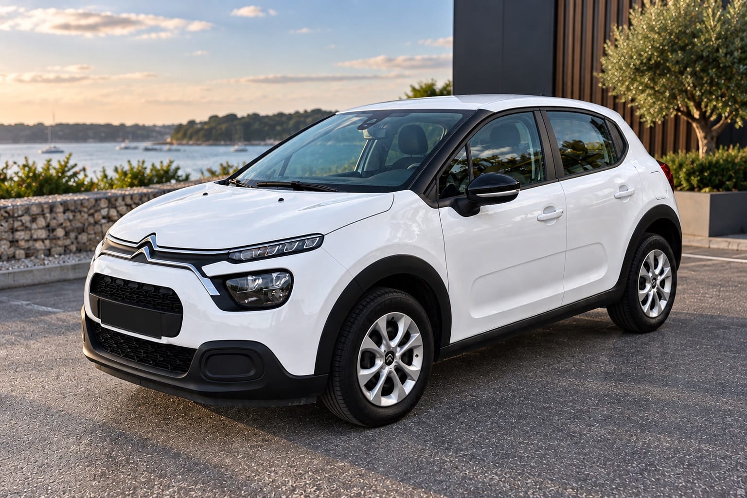 Citroen C3 1.2 i essance (123), 2022, Essence 95