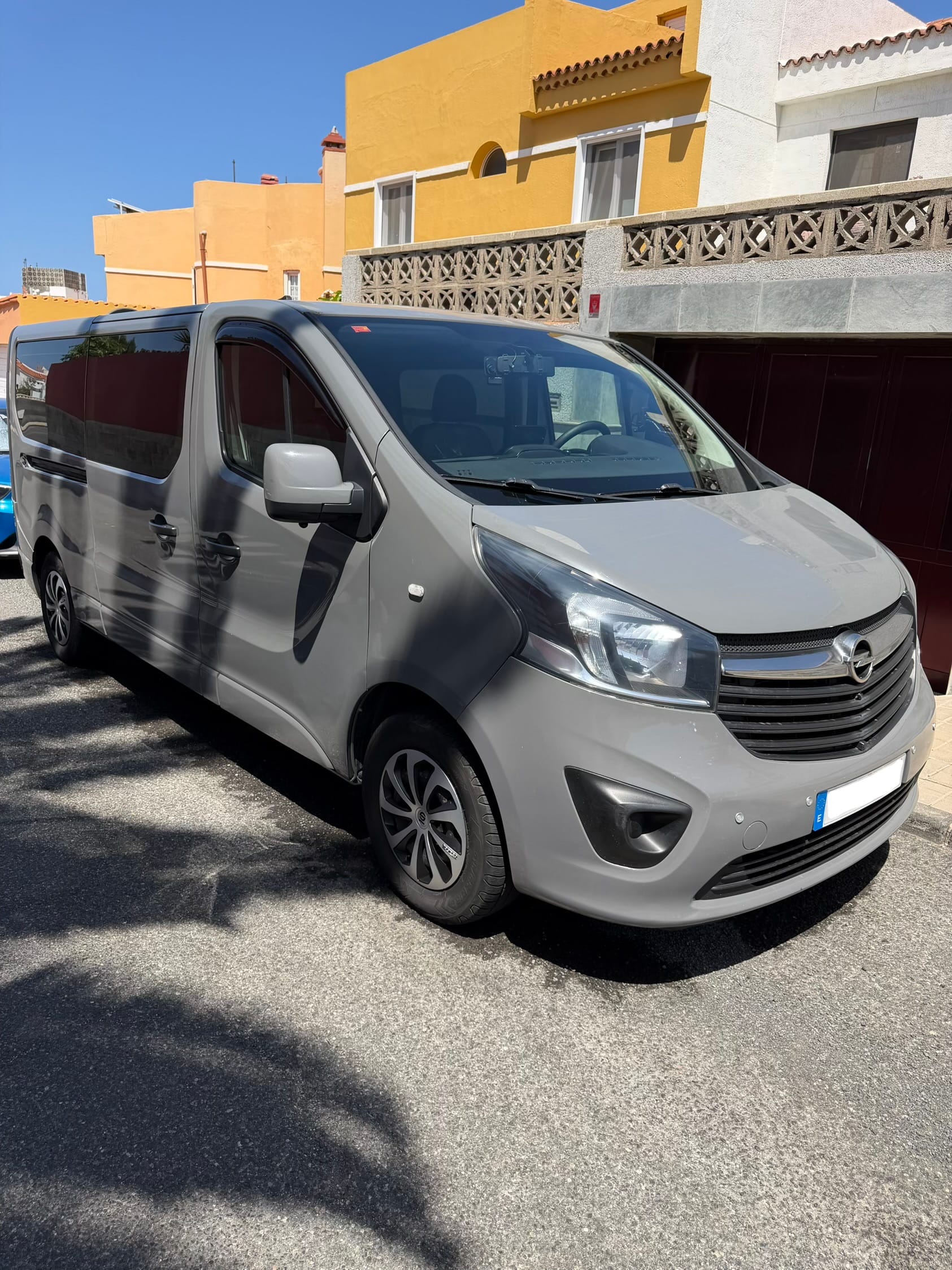 Opel Vivaro mit Dashcam