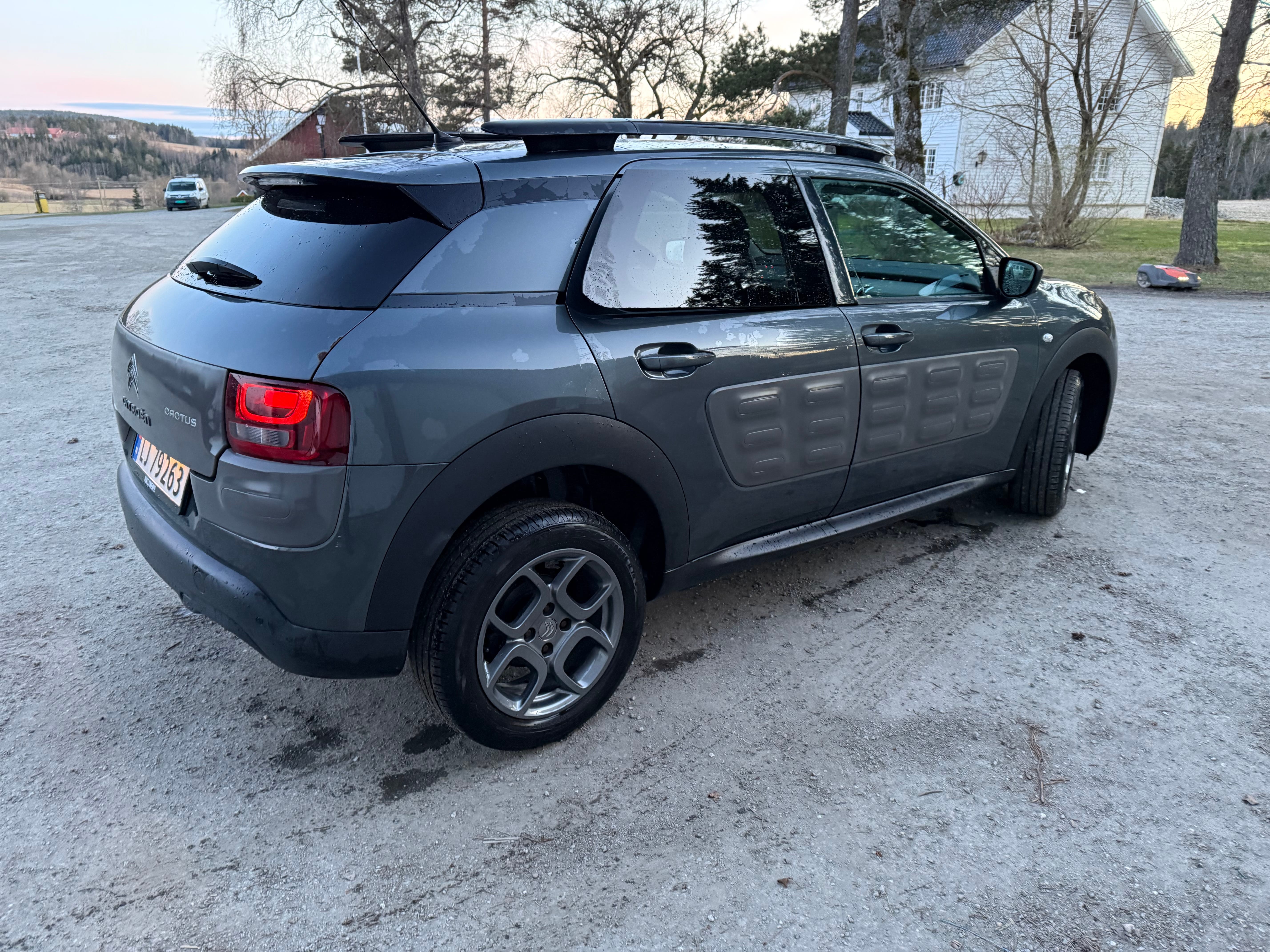 Citroen C4 Cactus