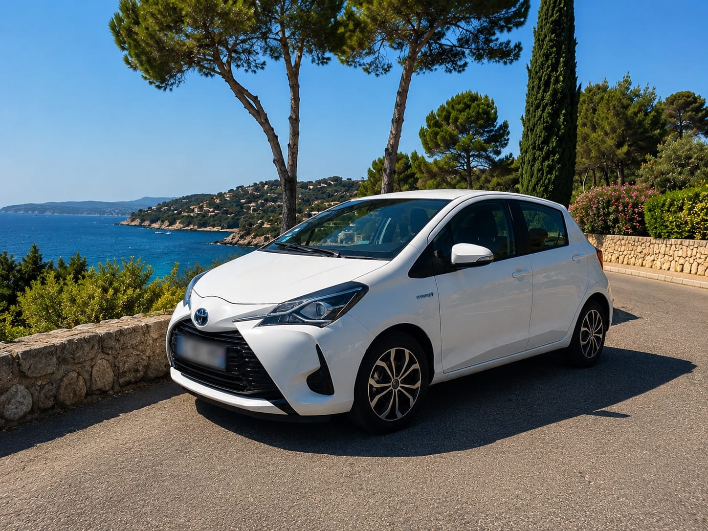 Toyota Yaris 100H France, 2018, Essence 95 / Électrique (hybride), automatique