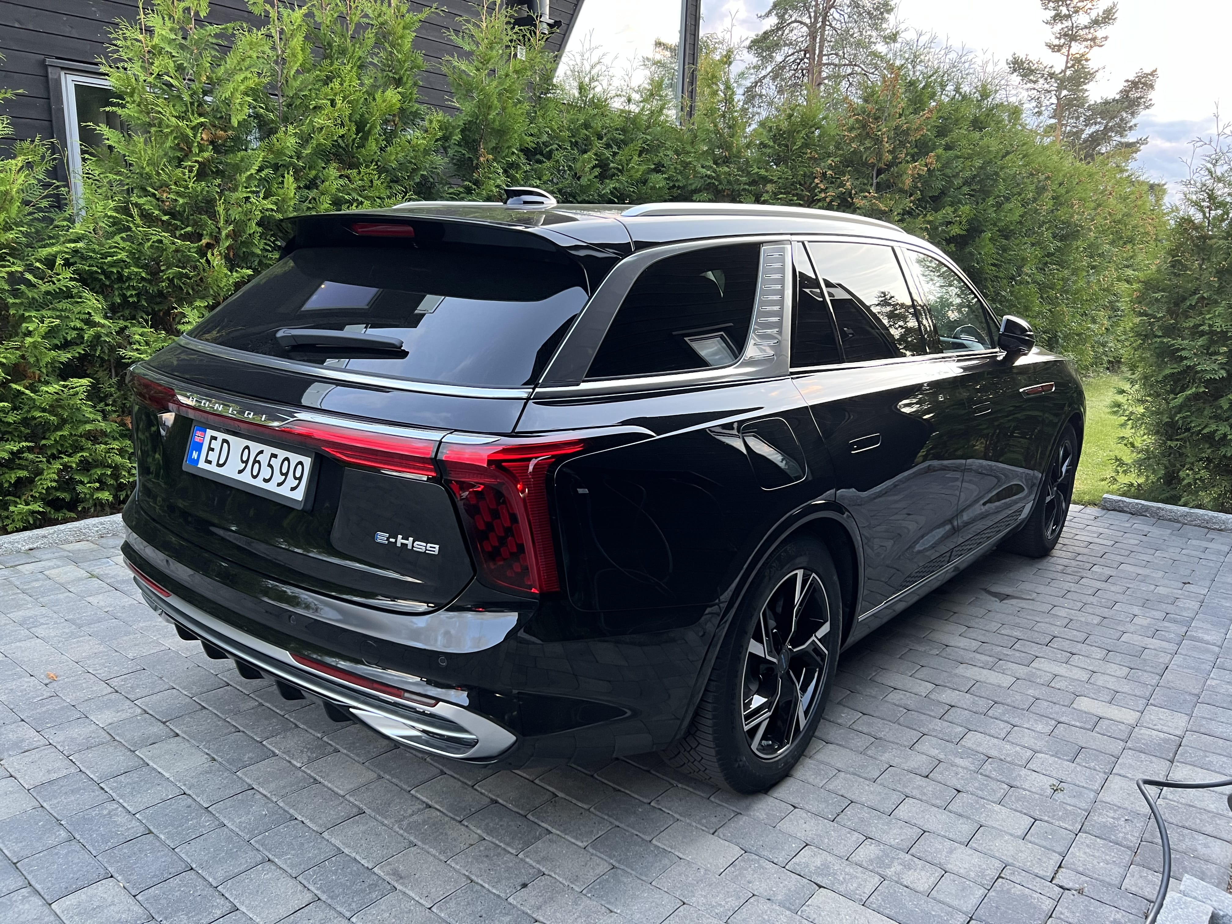 Hongqi E-HS9 med GPS