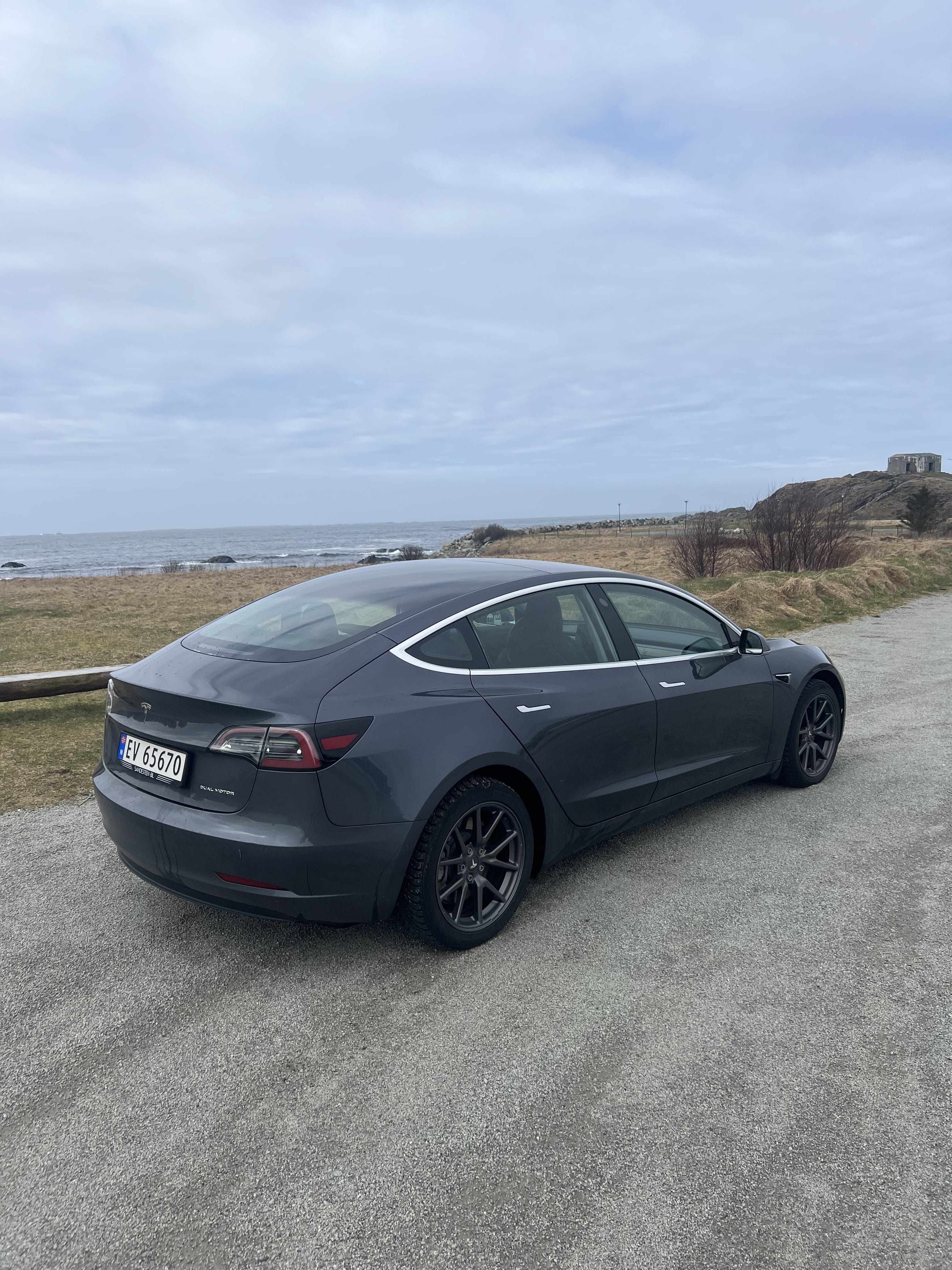 Tesla Model 3 Long Range with Backup camera