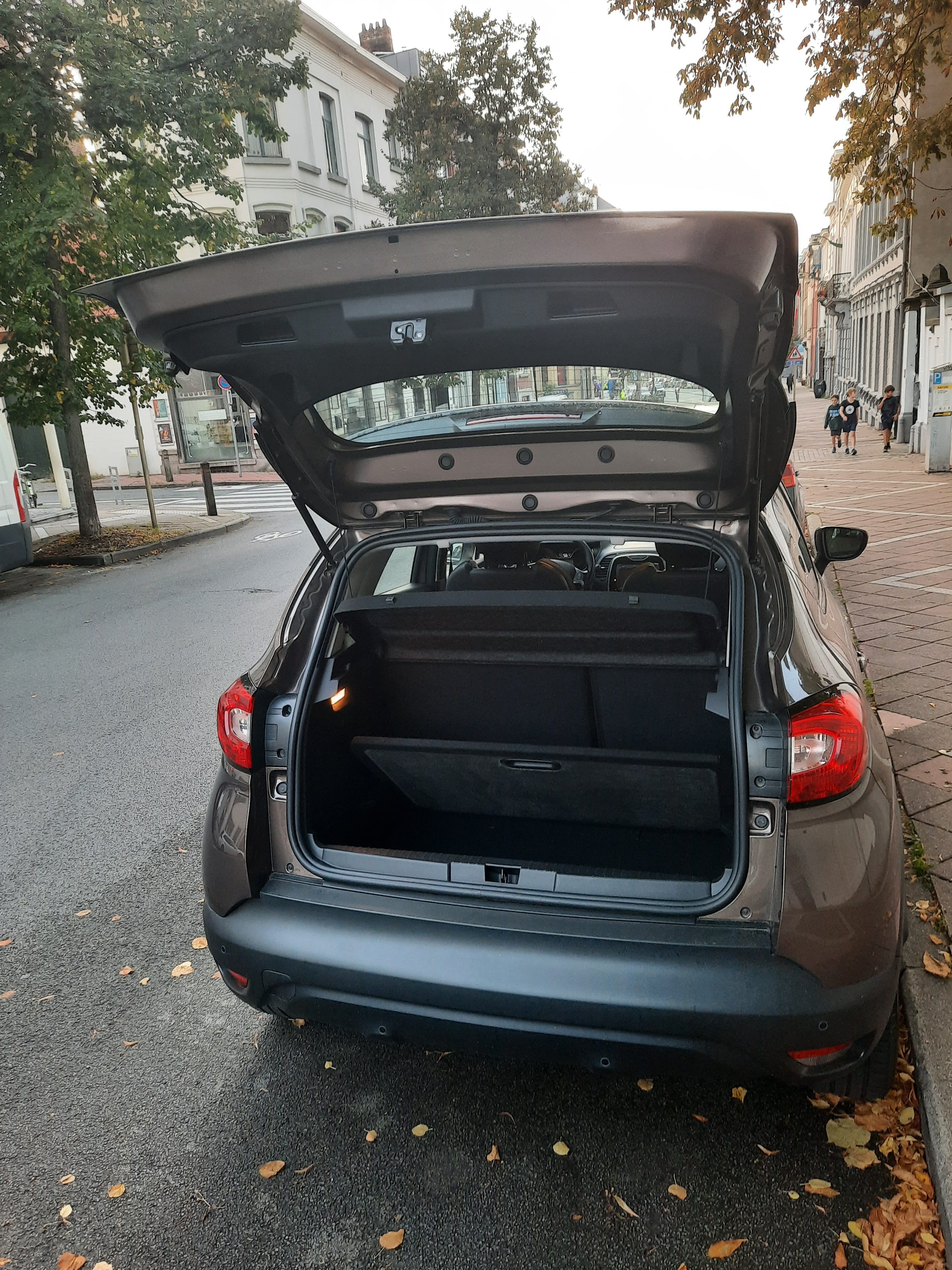 Renault Captur met Audio- / iPod-ingang