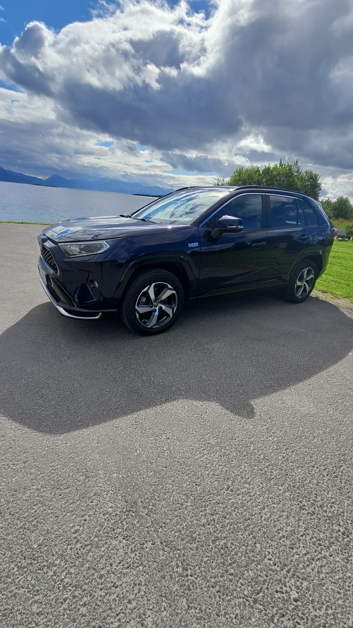 Toyota Rav4 Hybrid, 2022, Blyfri 95, automatisk