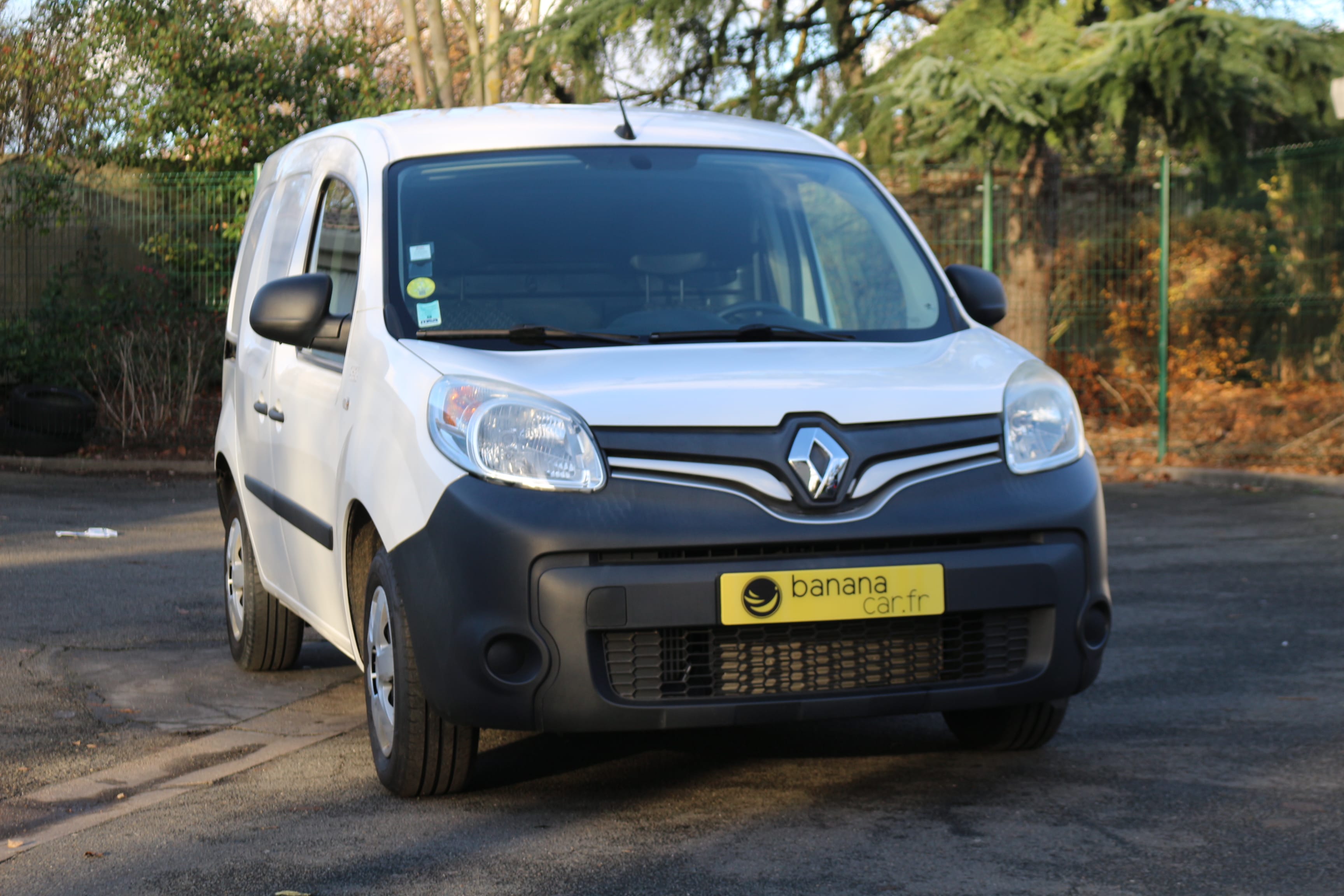 Renault Kangoo Express DB-796-SJ, 2013, Diesel
