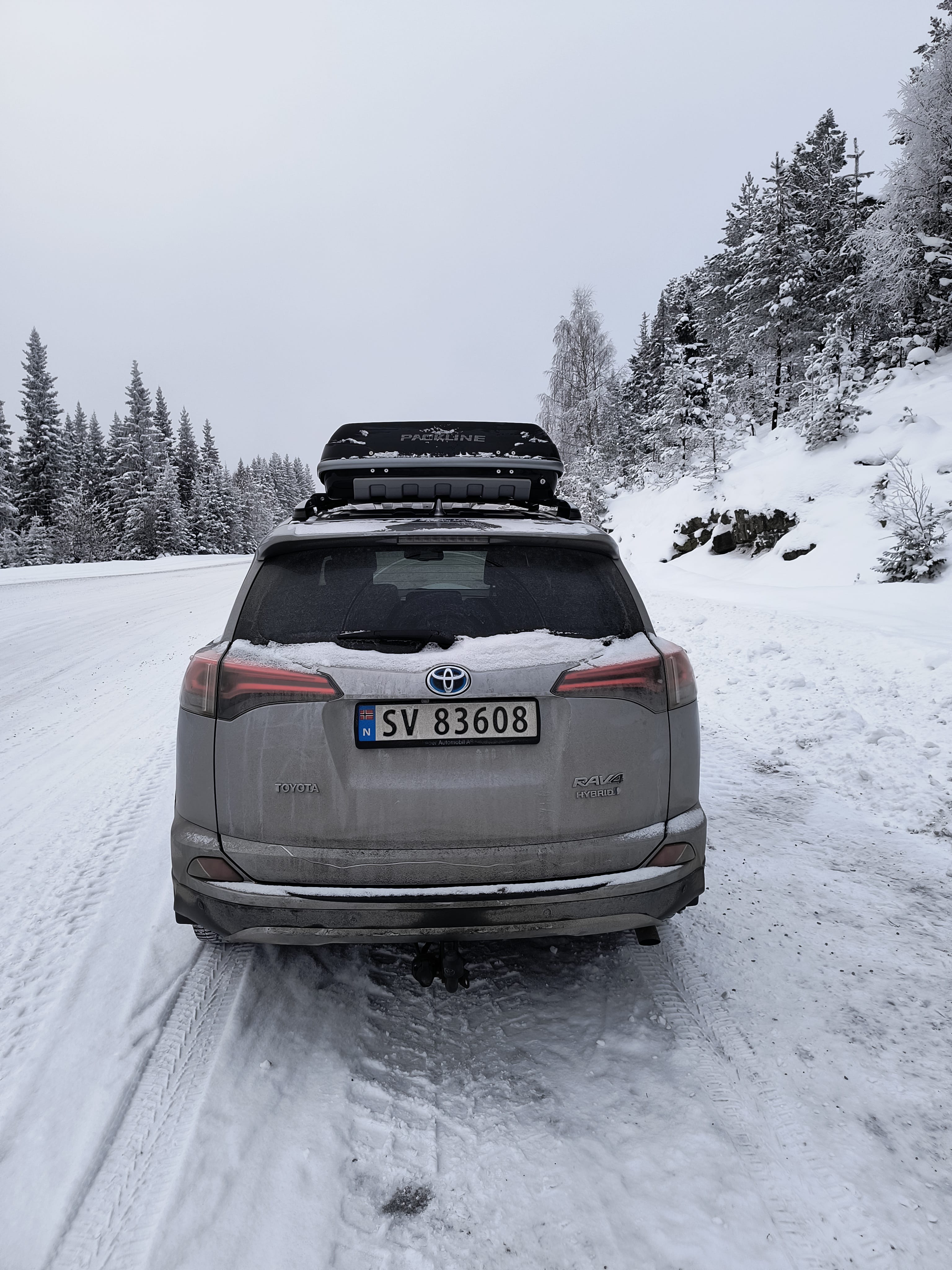 Toyota RAV4 med Cruisekontroll