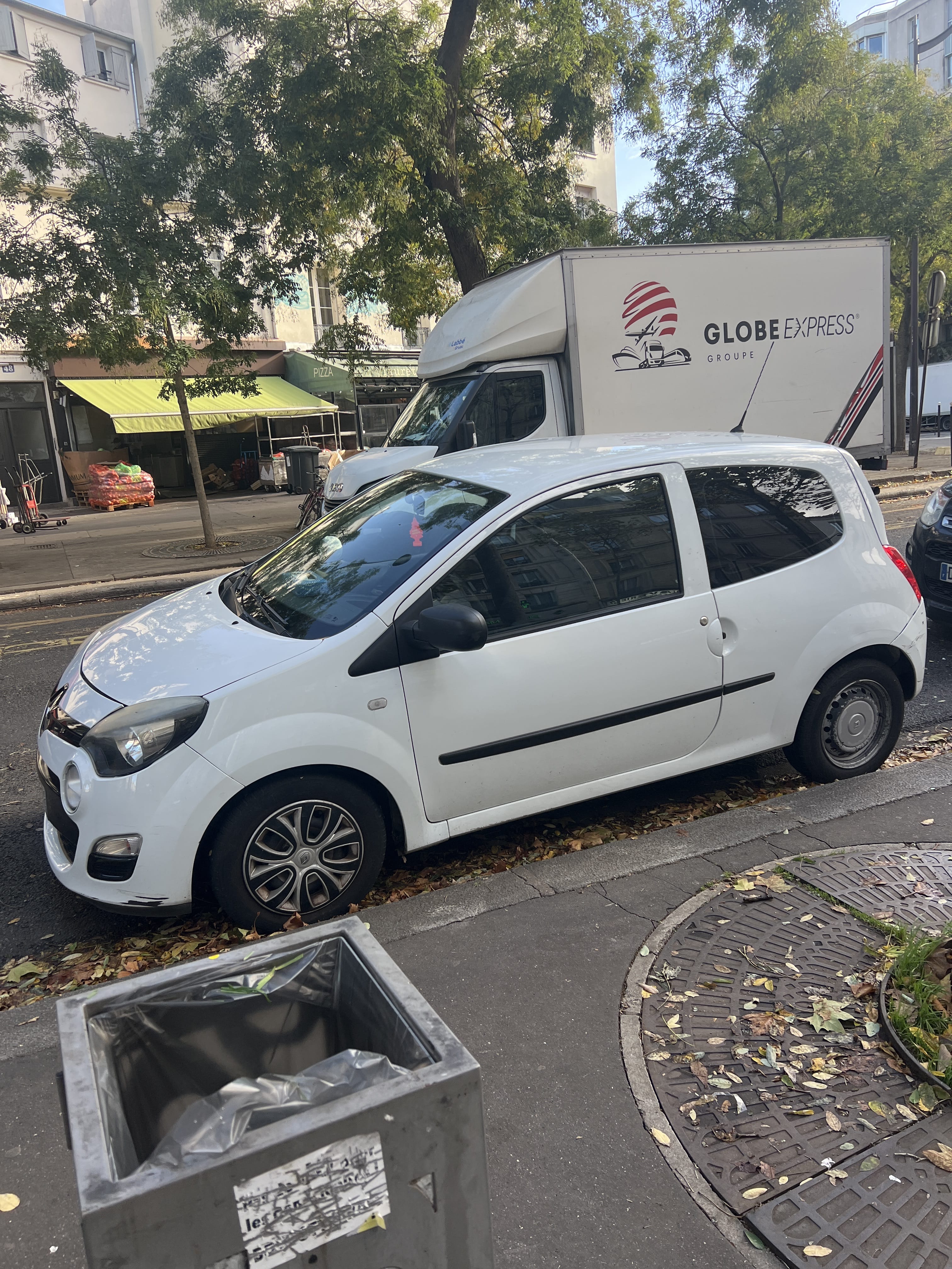 Renault Twingo Société