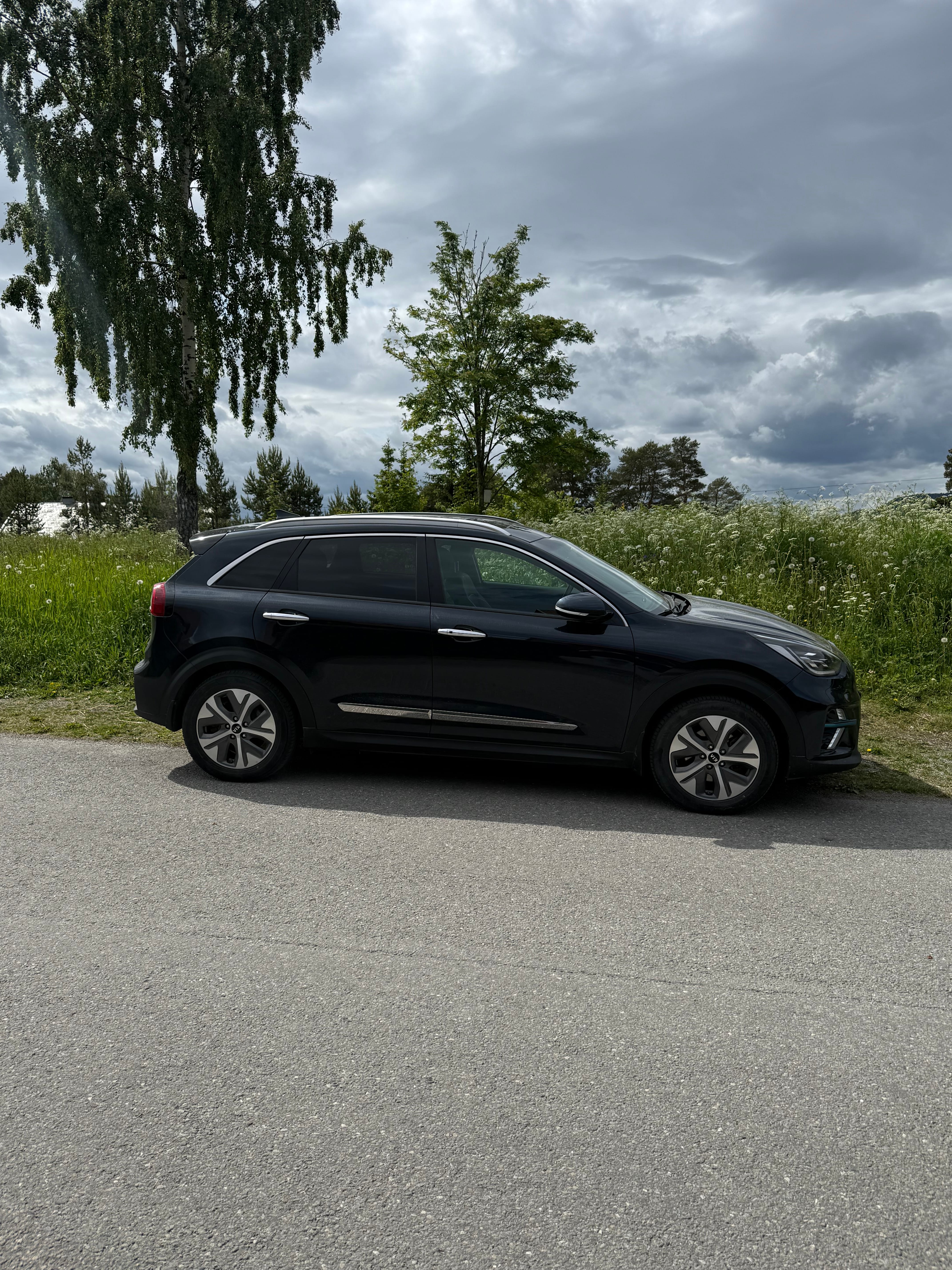 Kia e-Niro First Edition med Aircondition
