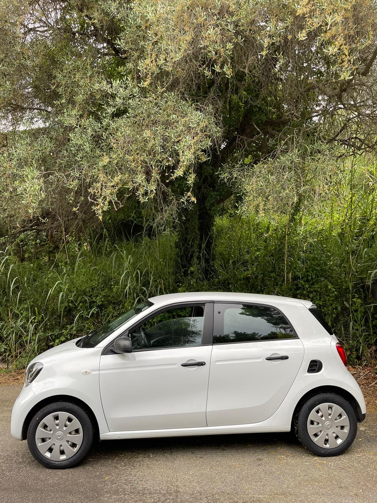 Smart Forfour avec Climatisation