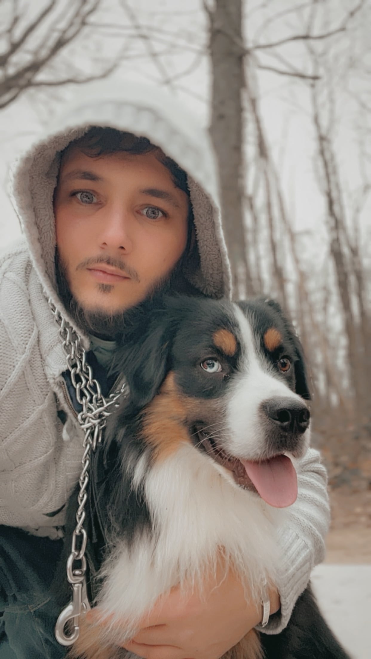 Mehdi
