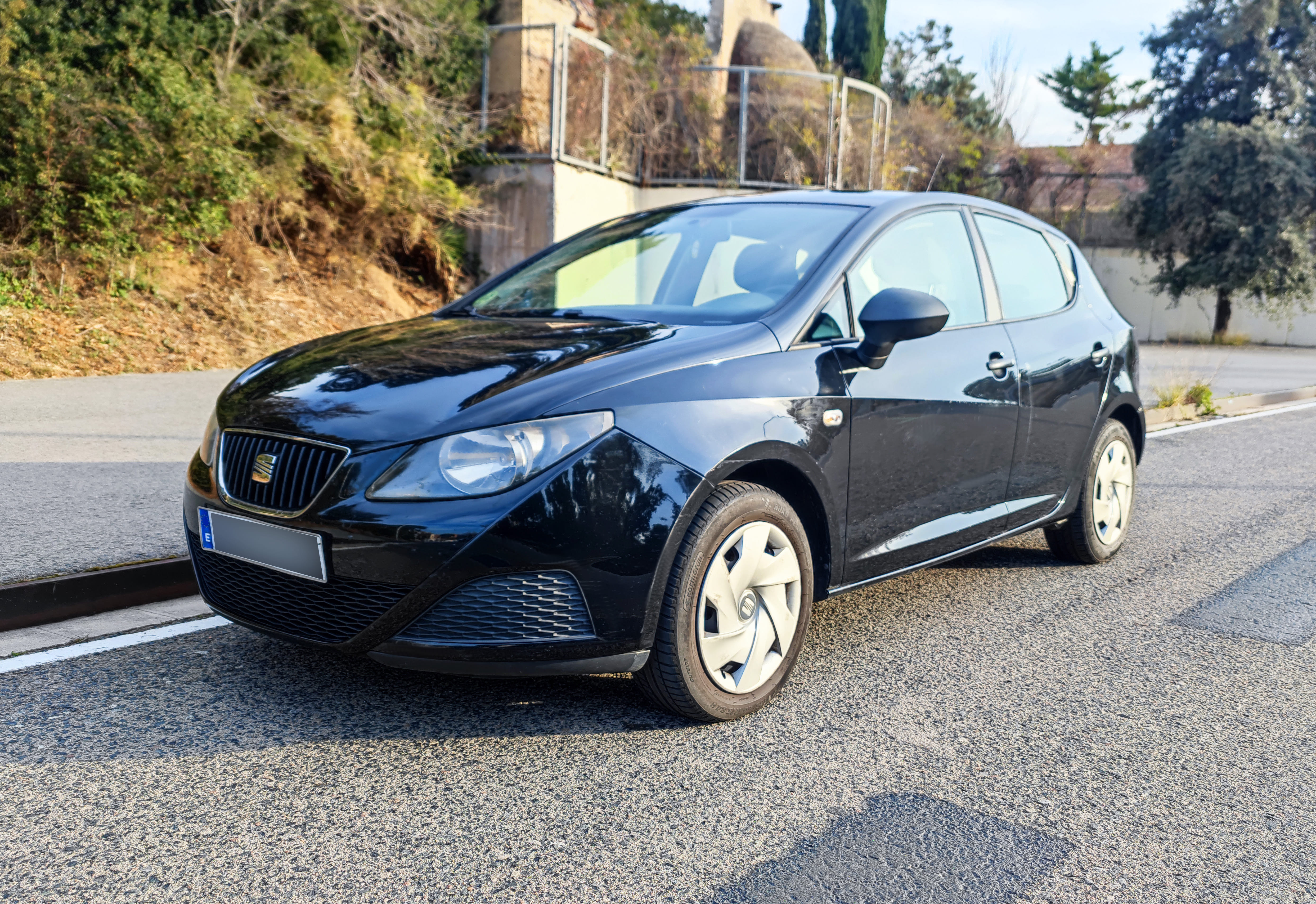 Seat Ibiza Fresh Eco, 2011, Diesel