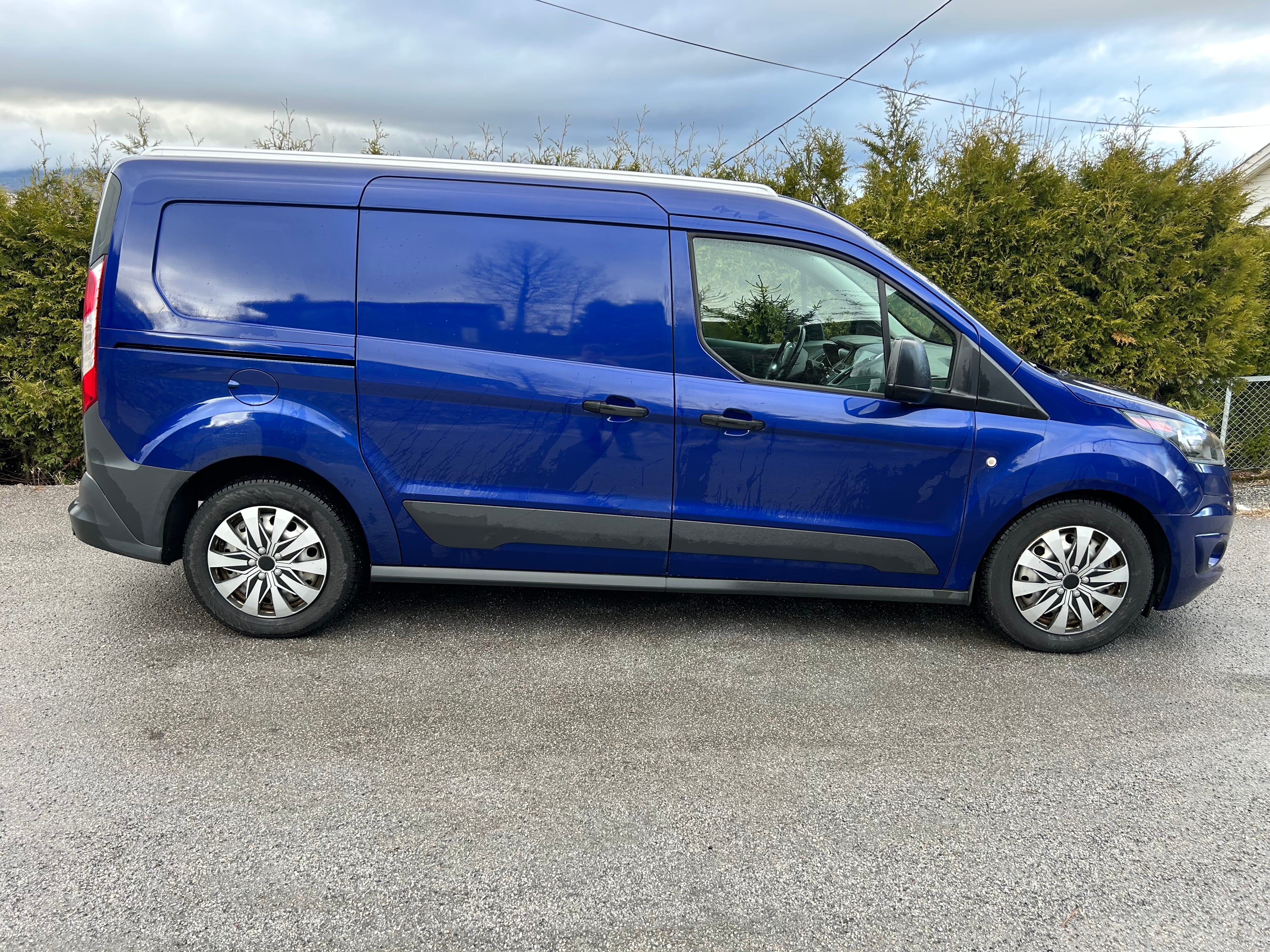Ford Transit Connect med Ryggekamera