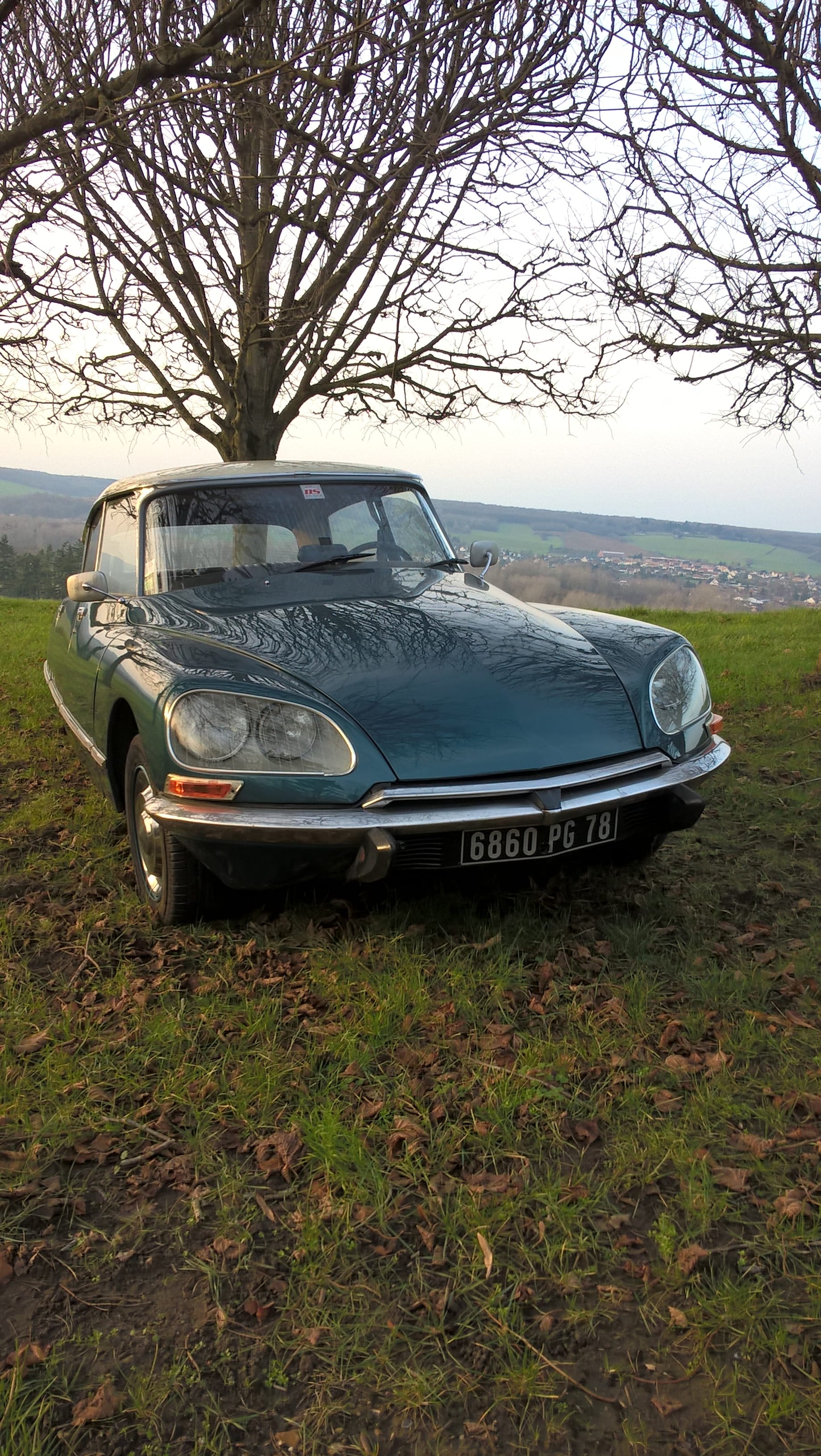 Citroen DS20