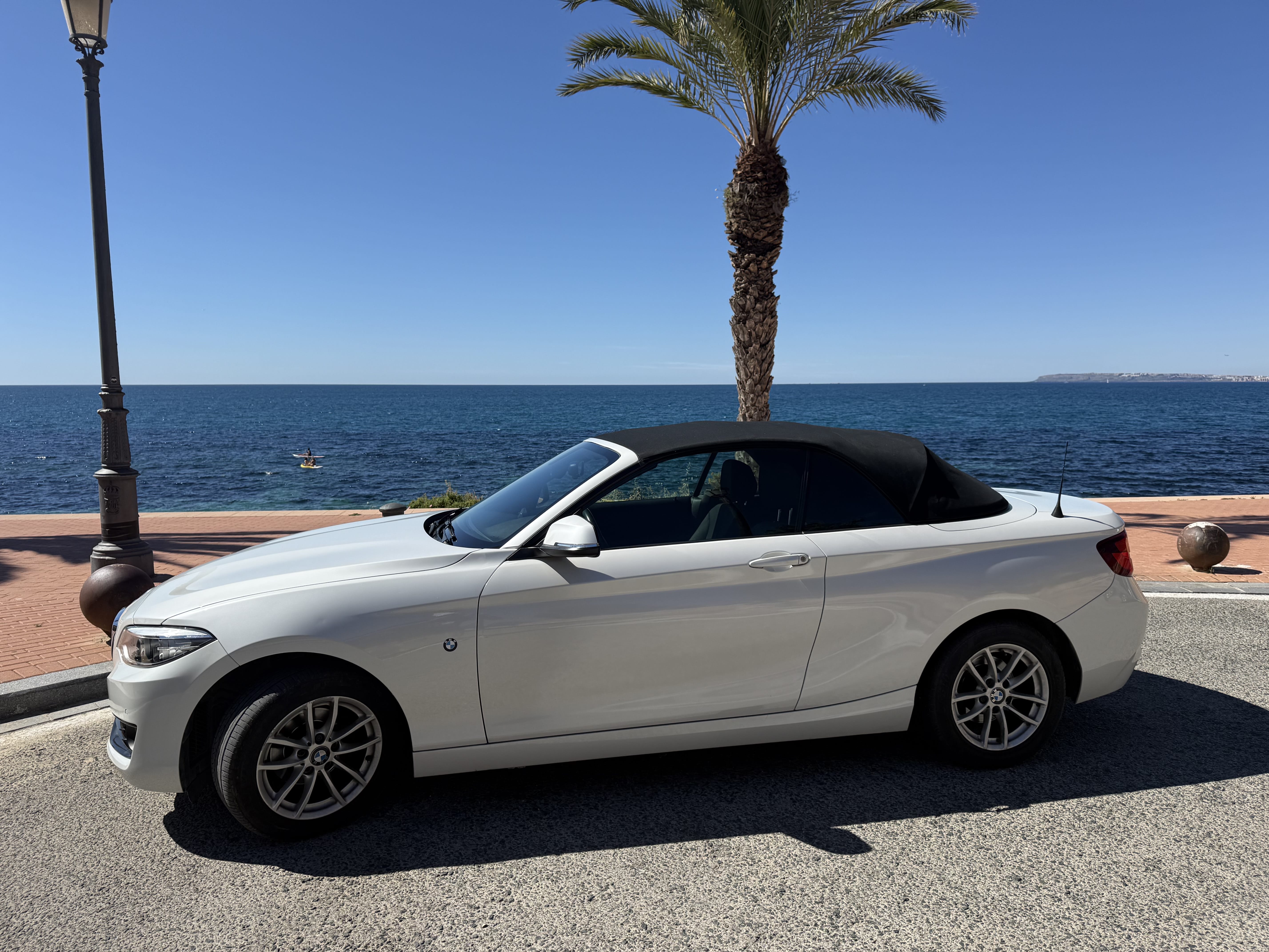 BMW Serie 2 Cabrio mit Rückfahrkamera