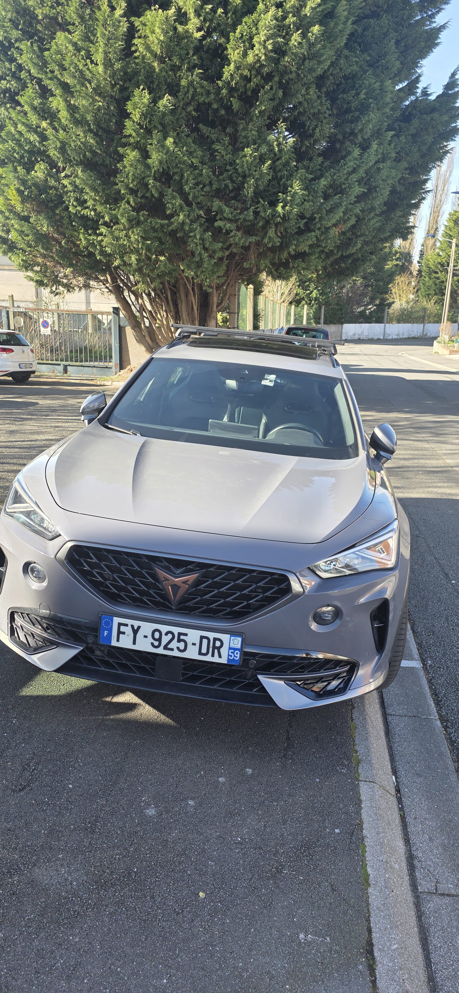 Cupra Formentor, 2021, Essence 98 / Électrique (hybride), automatique