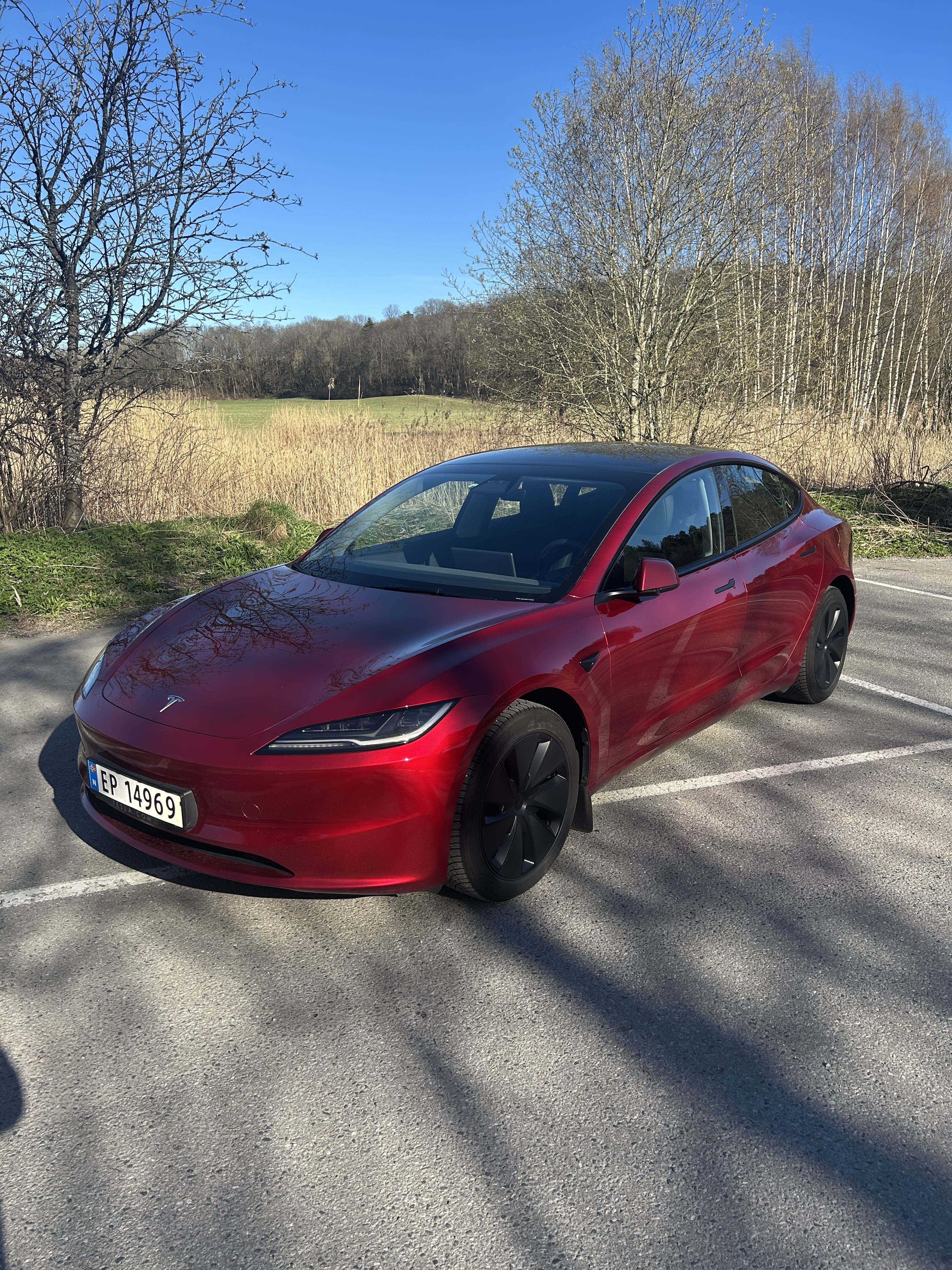 Tesla Model 3 Long Range, 2025, Electric, automatic