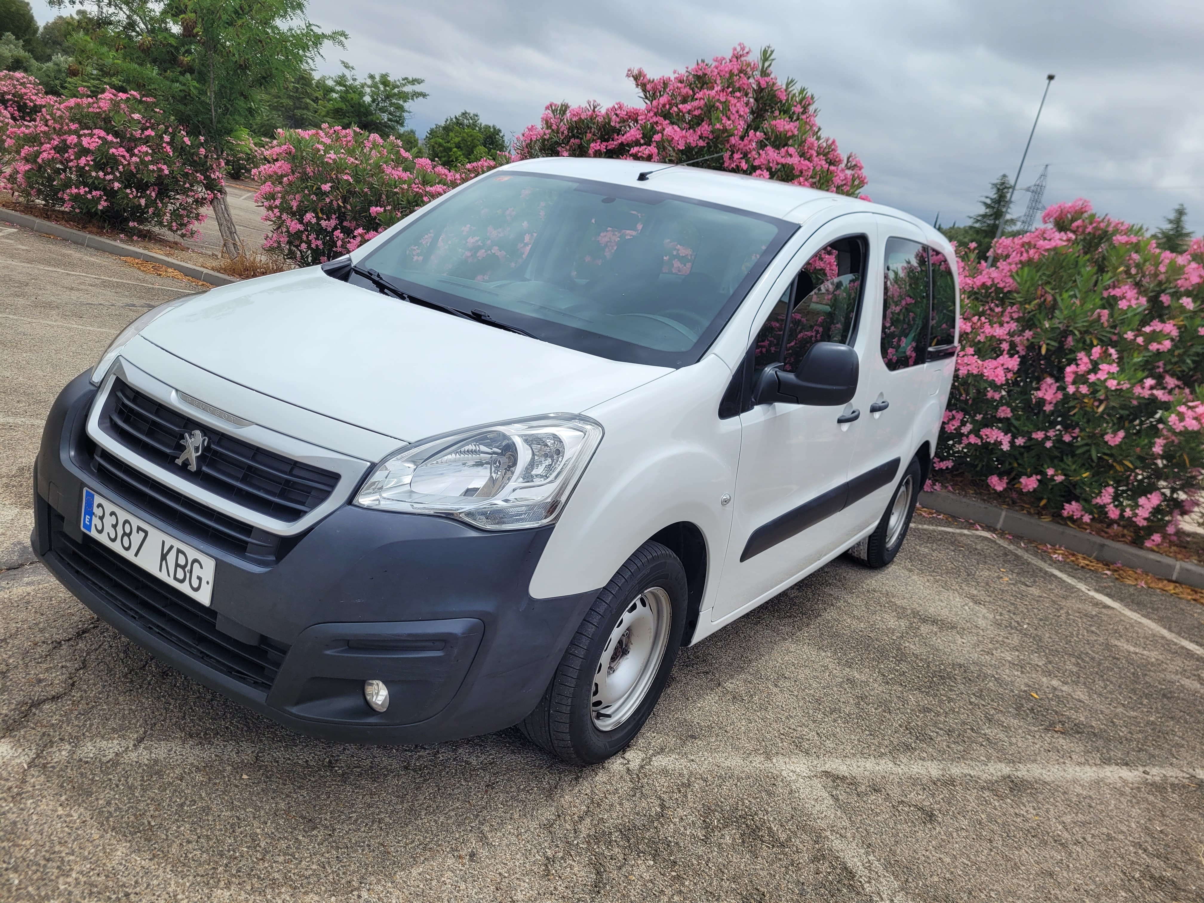 Peugeot Partner Furgoneta, 2017, Diesel