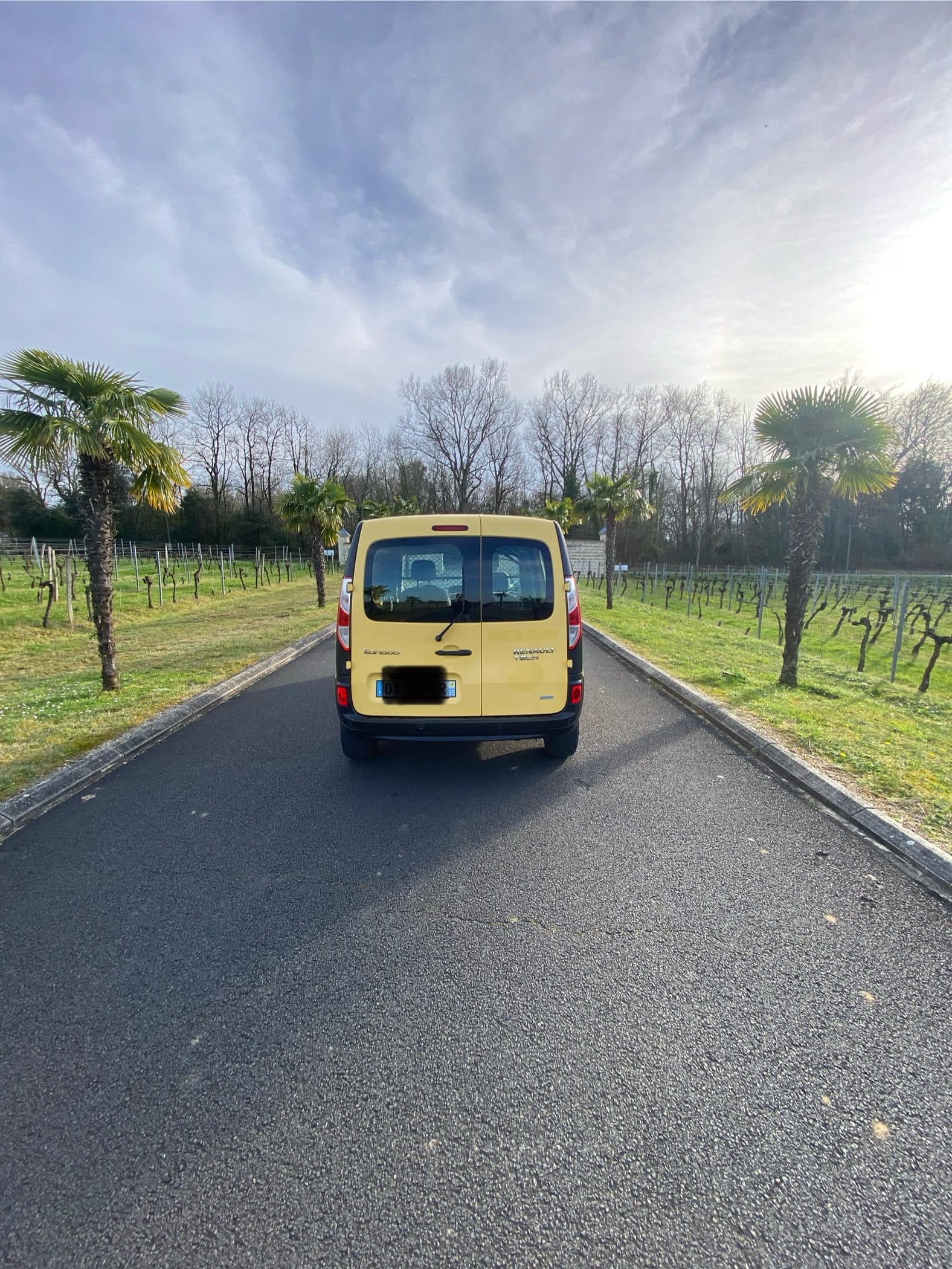 Renault Kangoo Express
