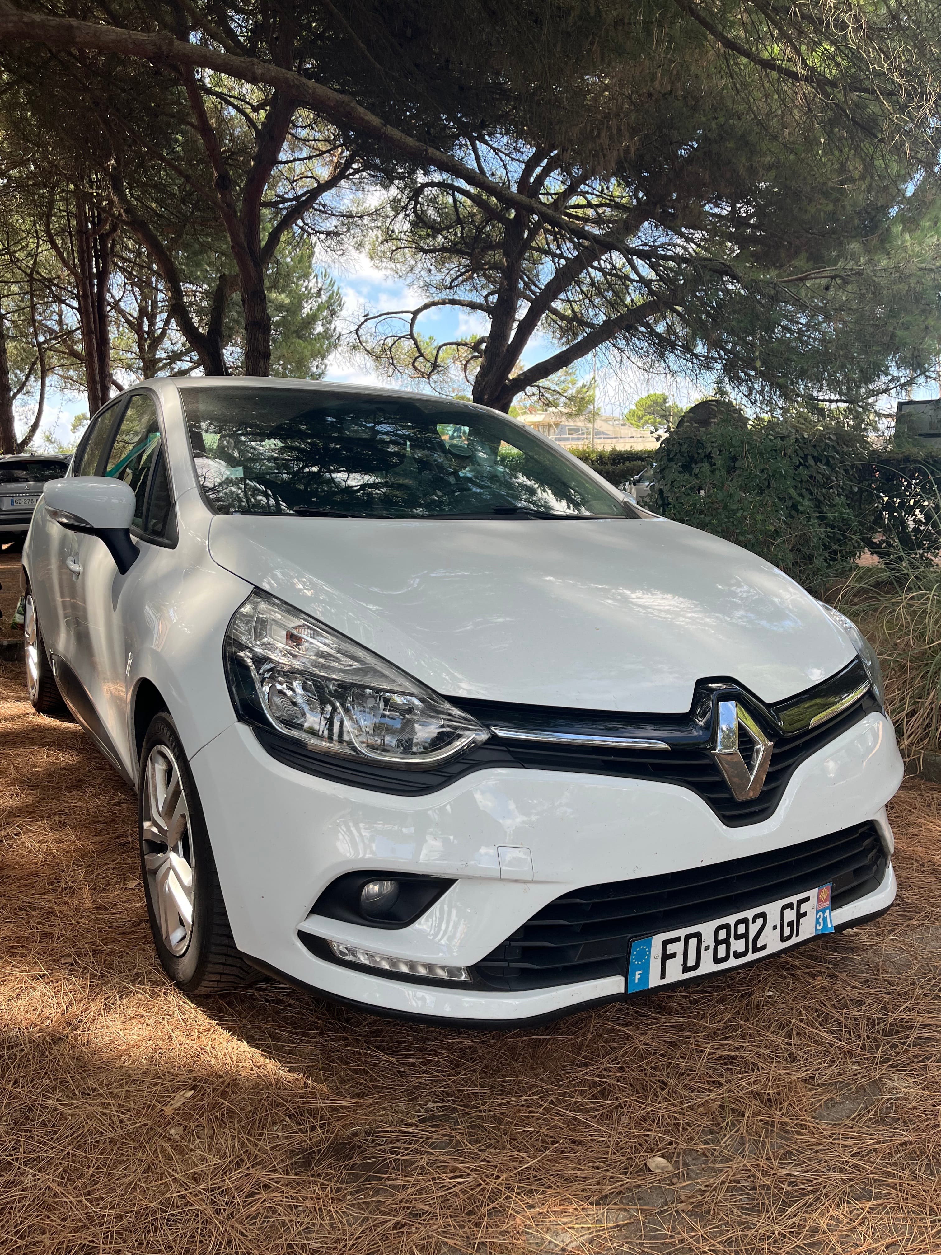 Renault Clio, 2019, Diesel