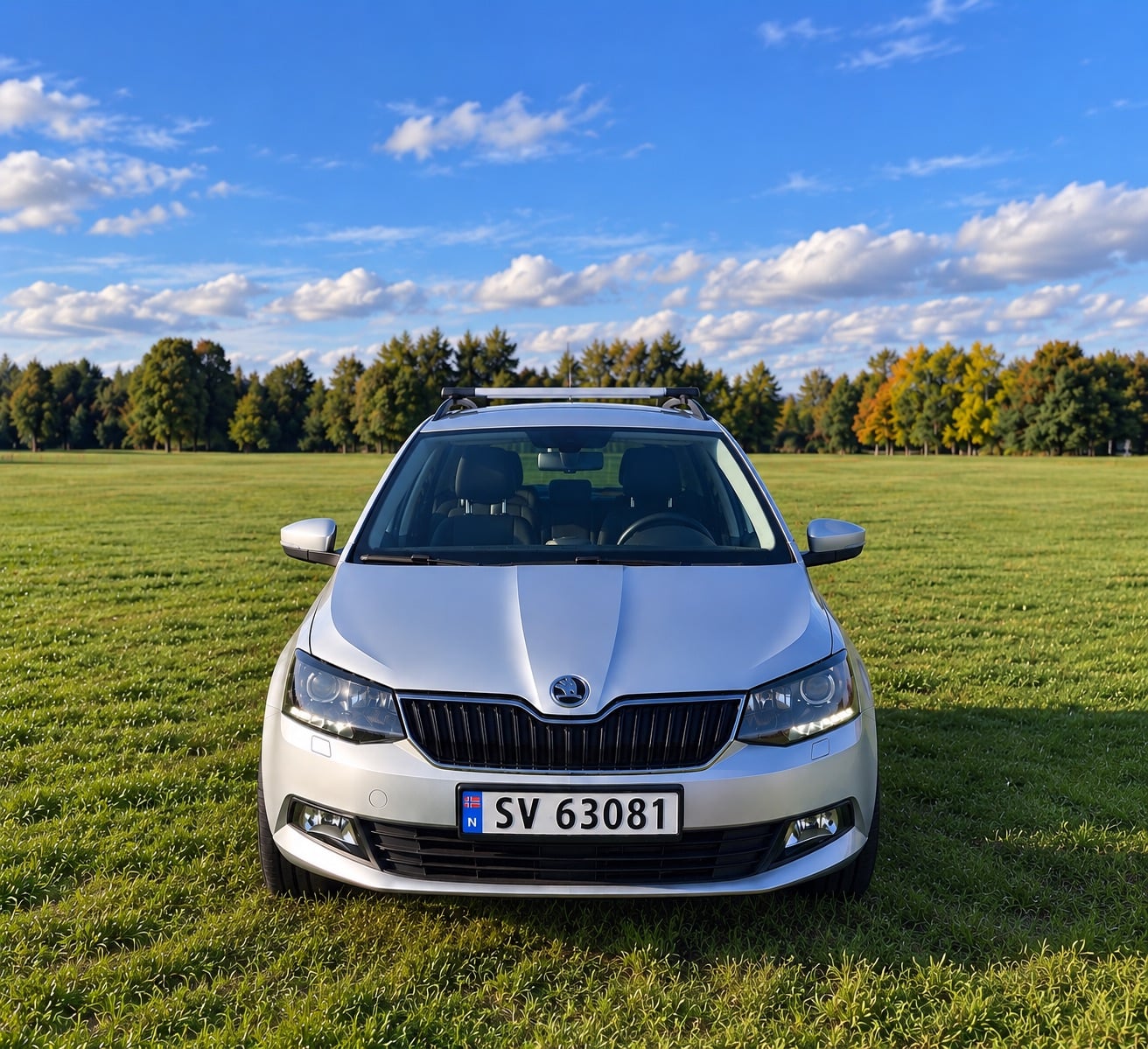 Skoda Fabia med Bluetooth audio