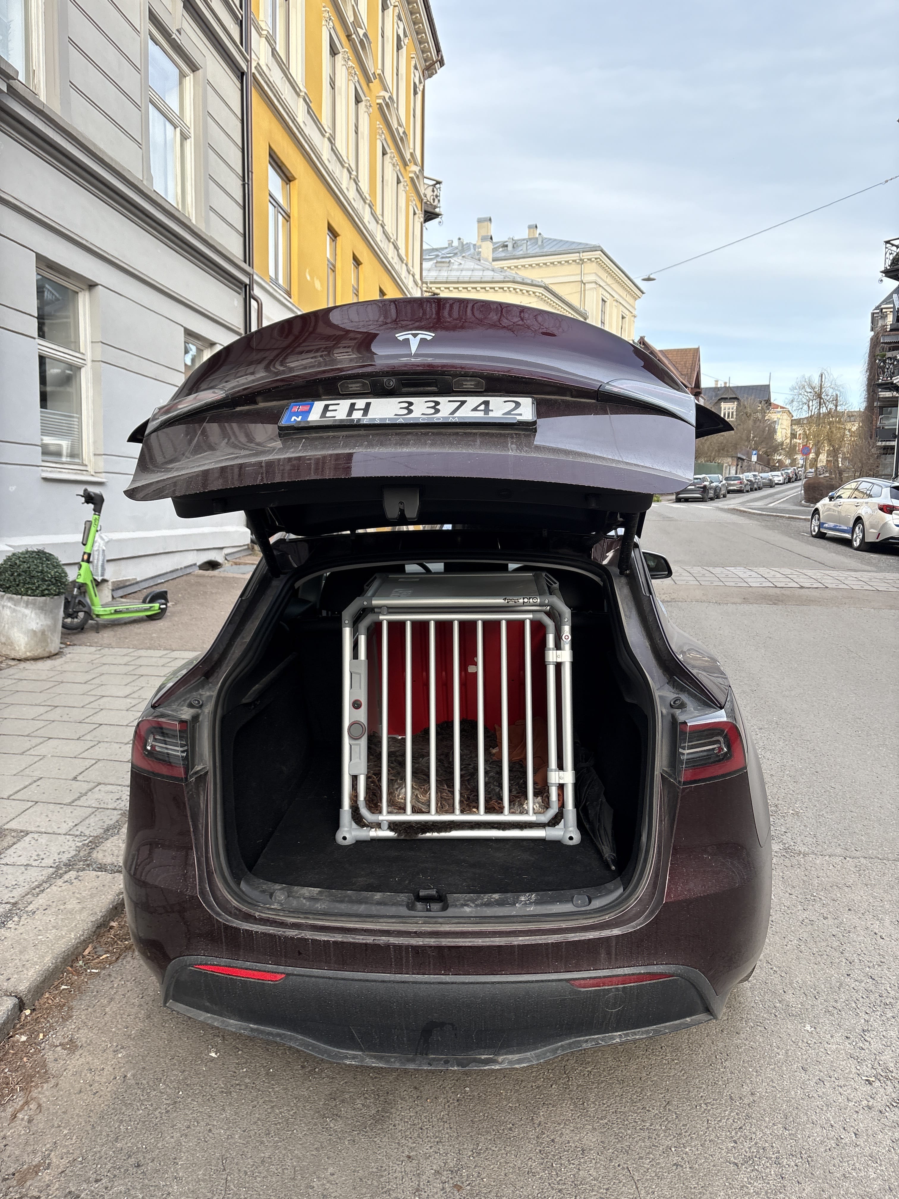 Tesla Model Y with Cruise control