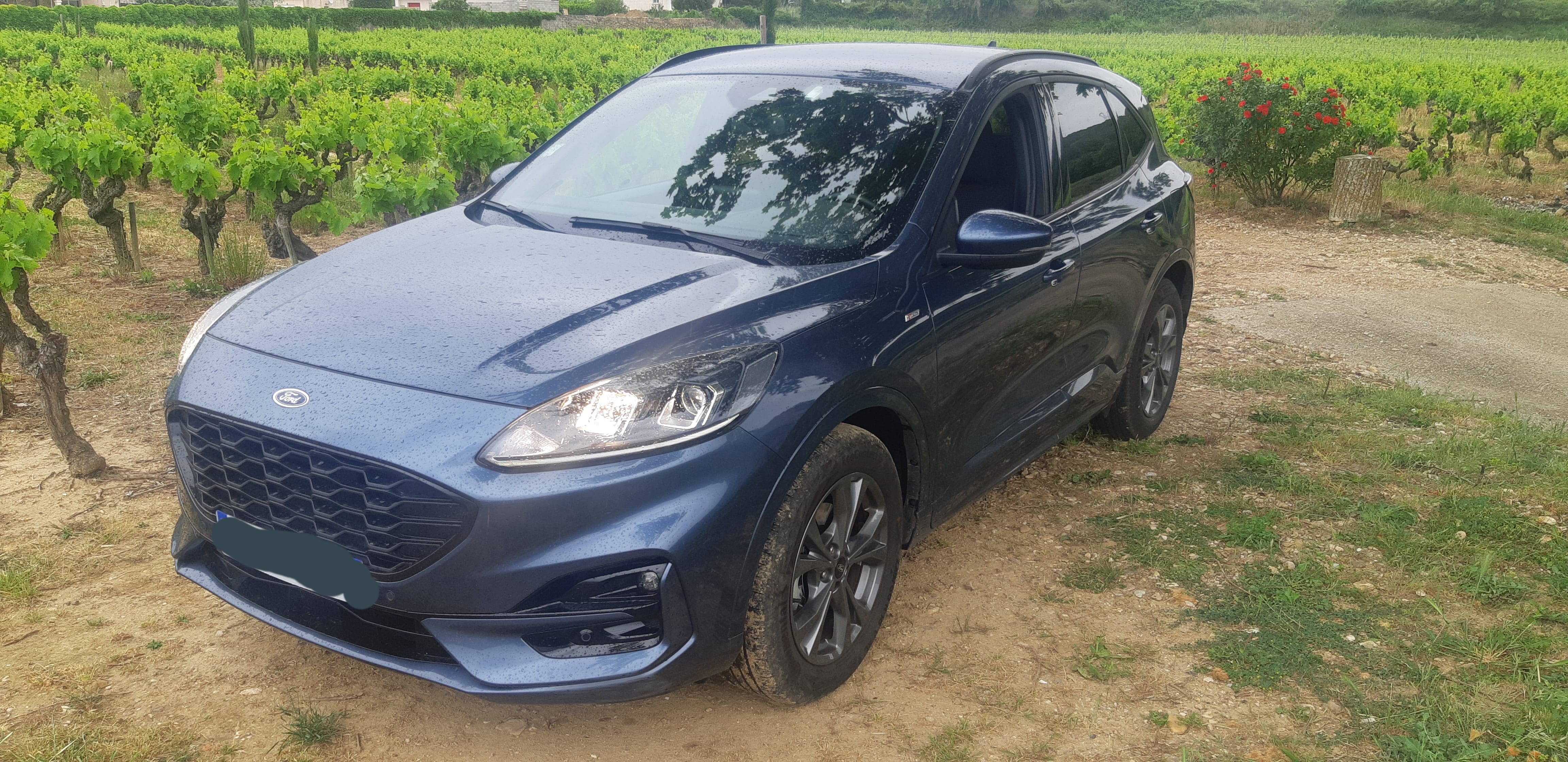 Ford Kuga 2.5L Hybride E85 190cv finition ST LINE, 2022, automatique