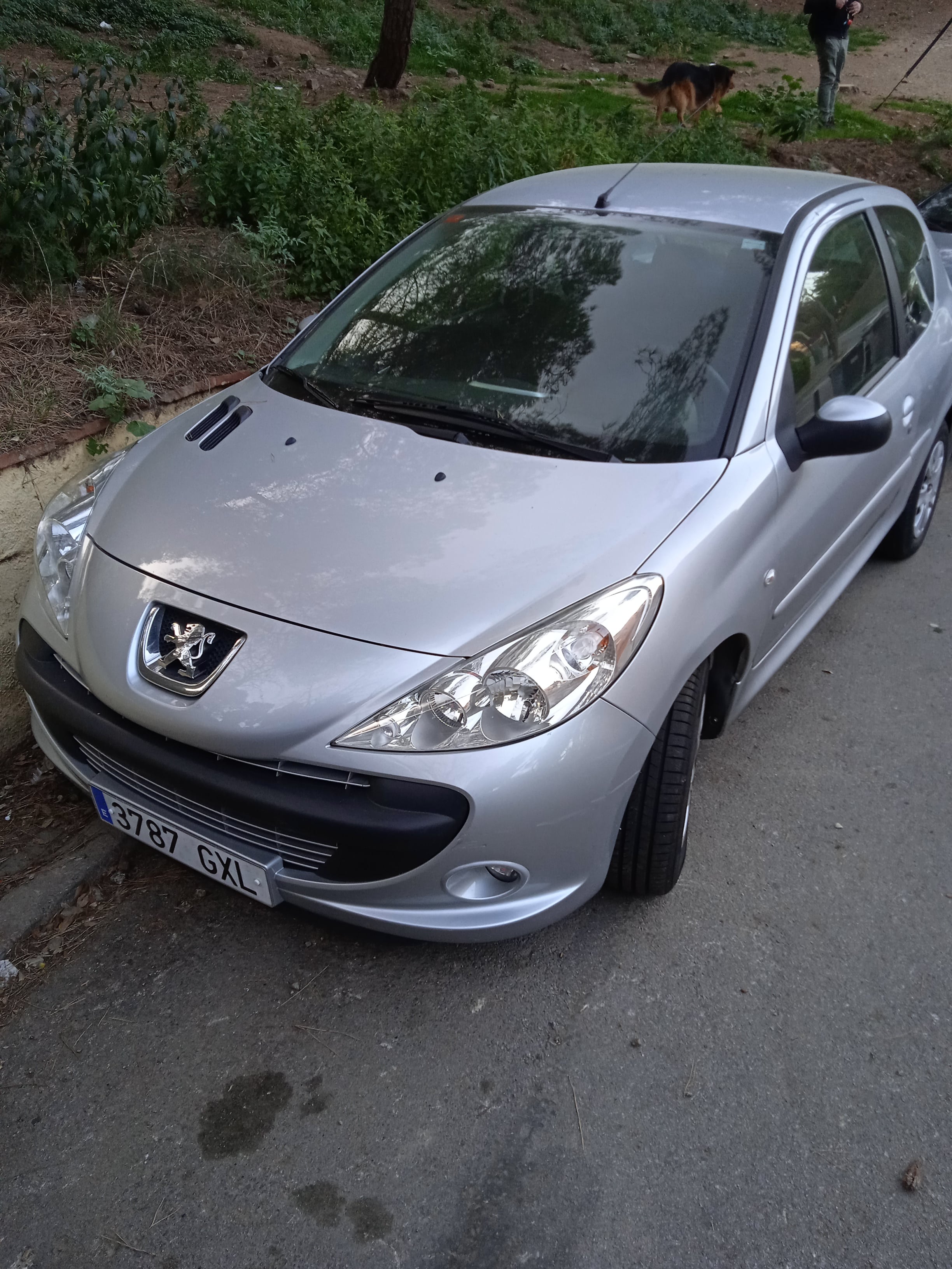 Peugeot 206+ 1.1 gasolina mínimo gasto, 2010, Gasolina 95