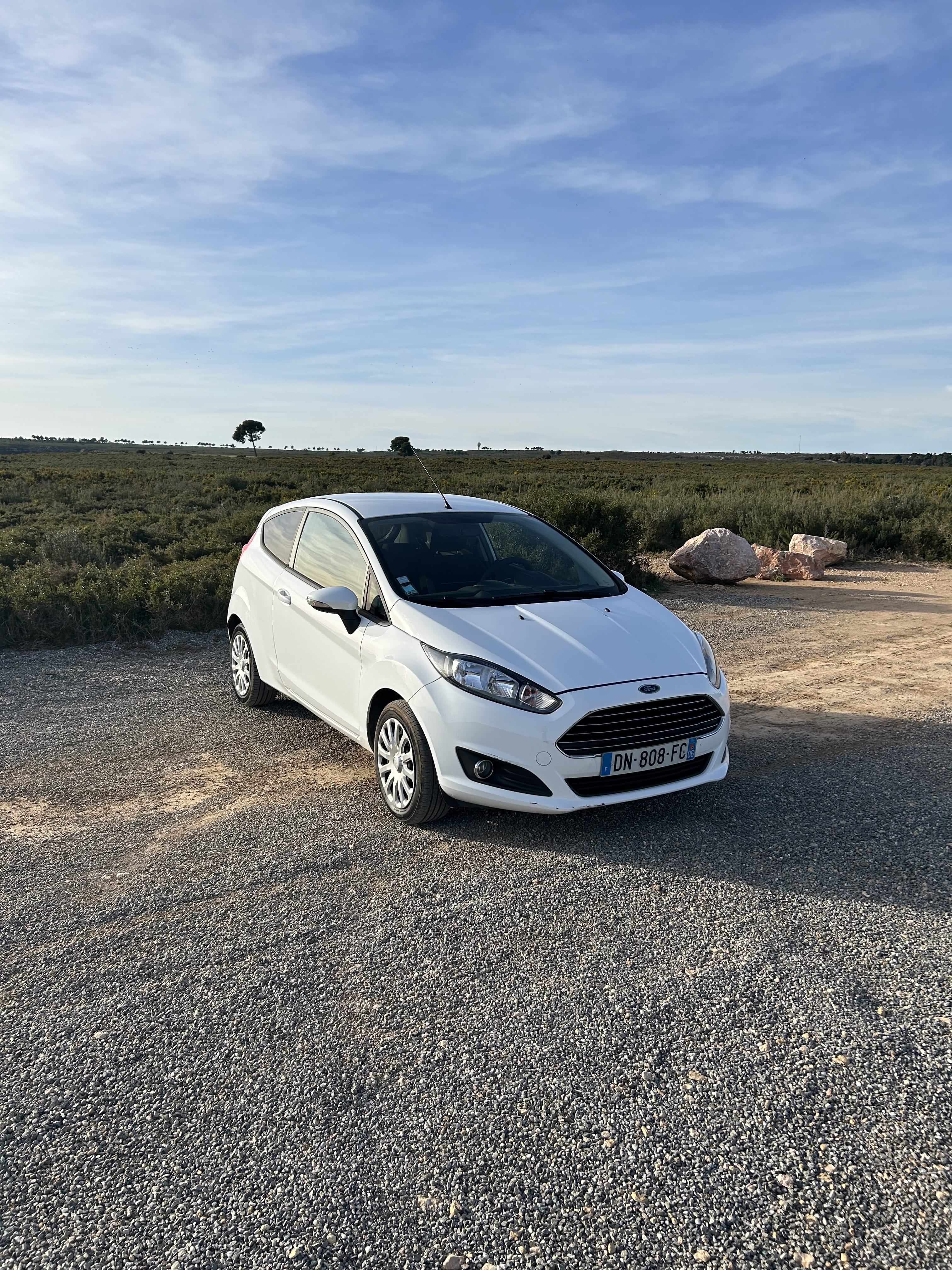 Ford Fiesta, 2015, Essence 95