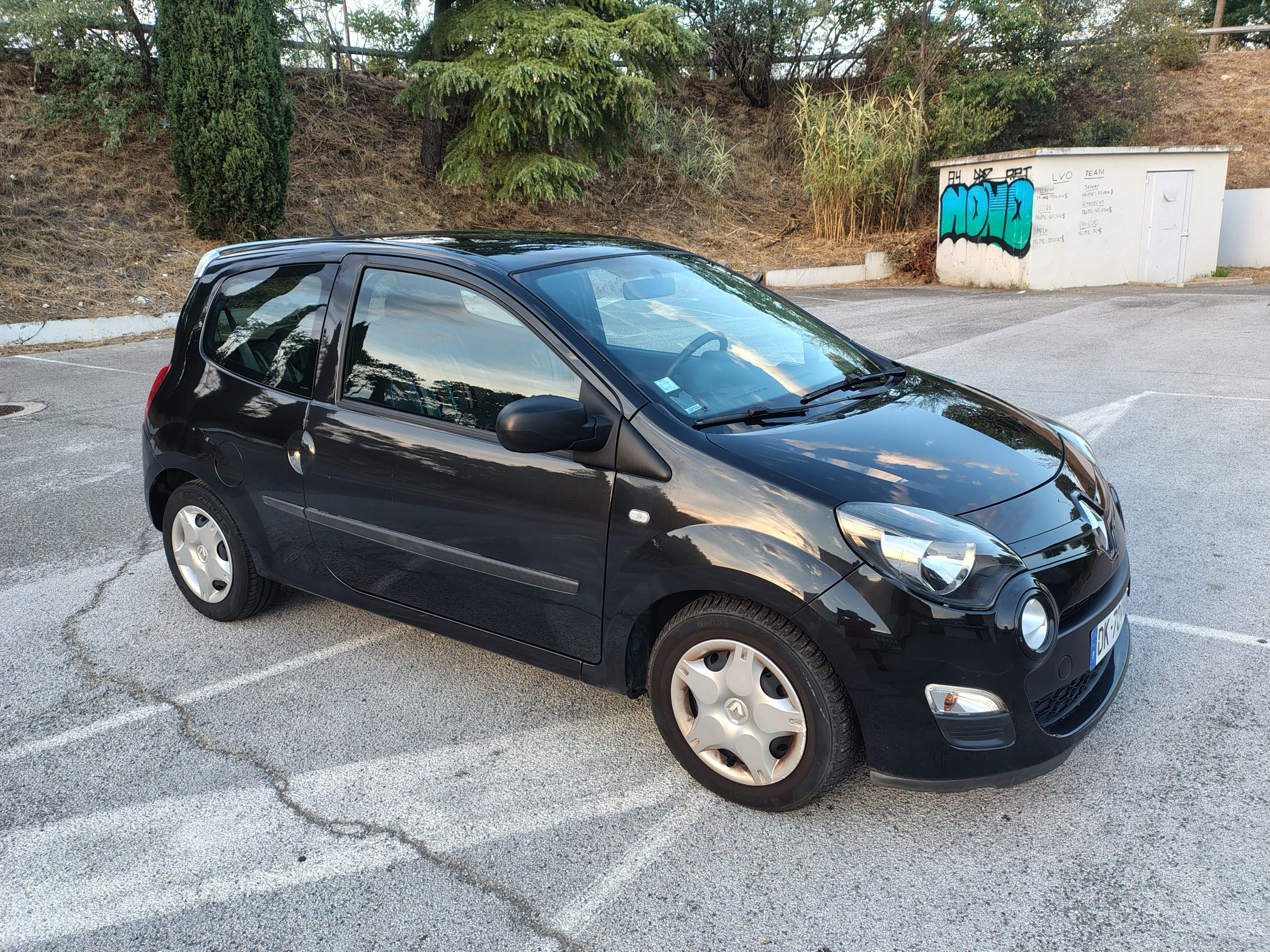Renault Twingo 1.2 75cv