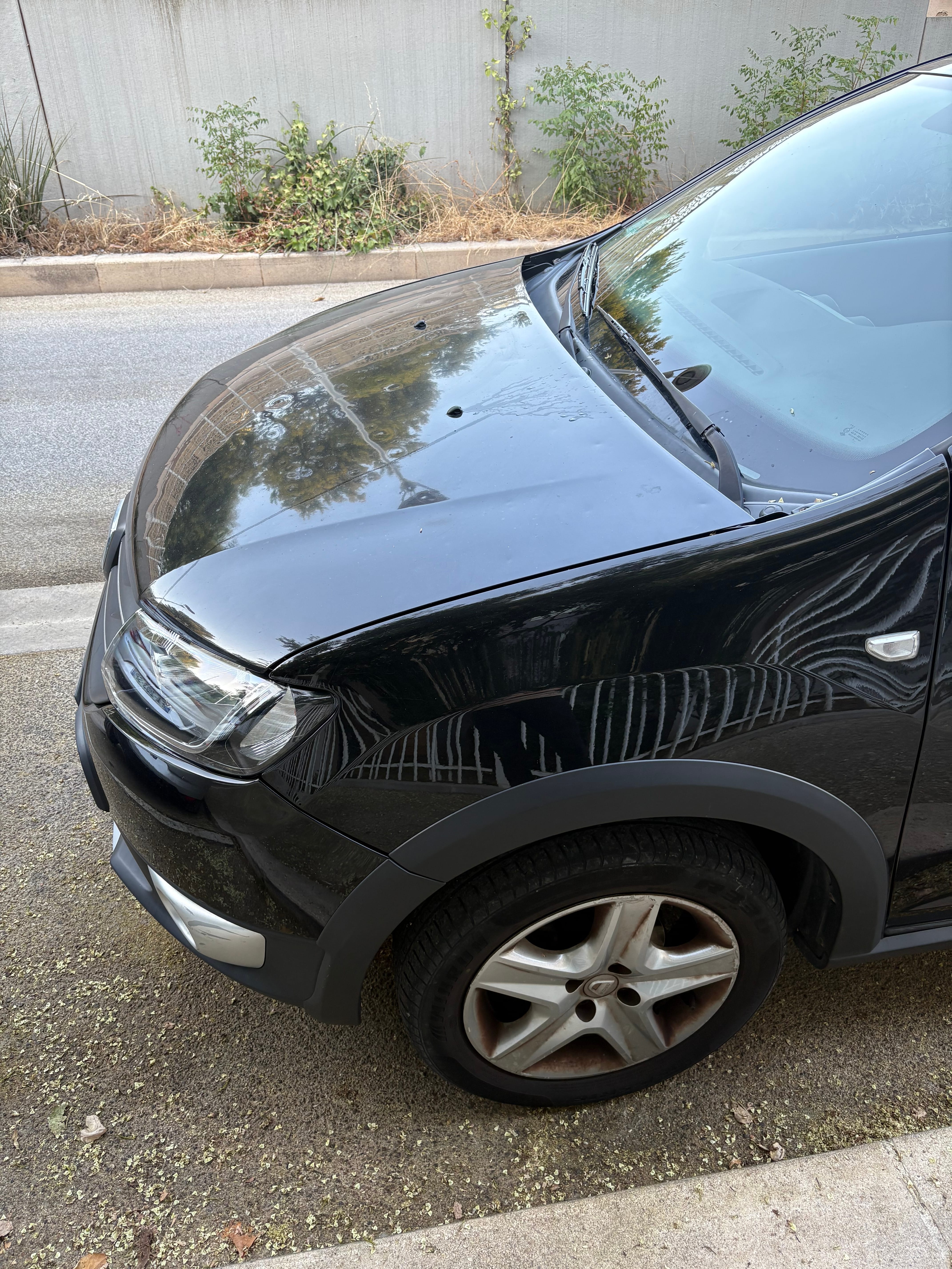 Dacia Sandero Stepway avec Autoradio
